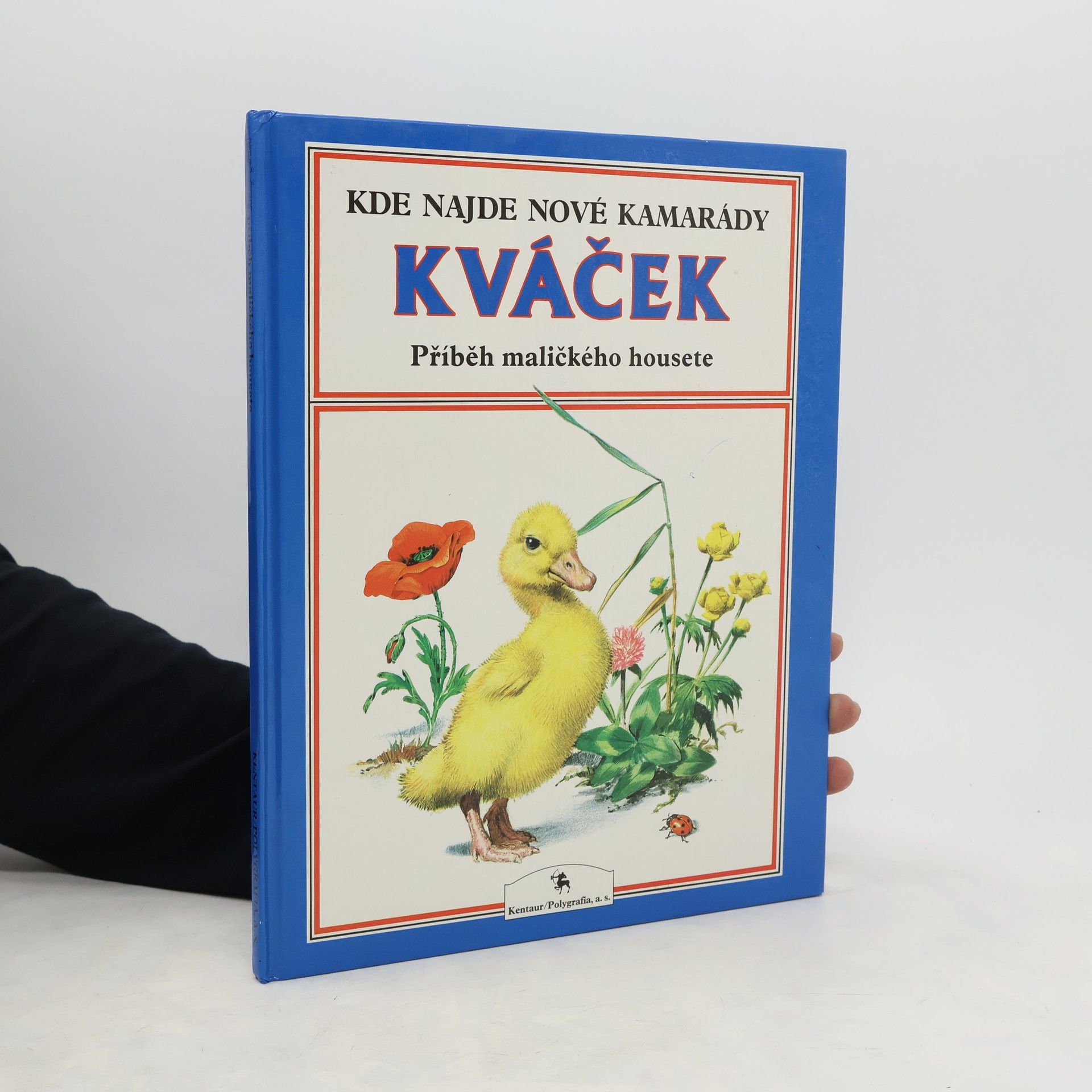 Peter Holeinone Kváček : příběh maličkého housete