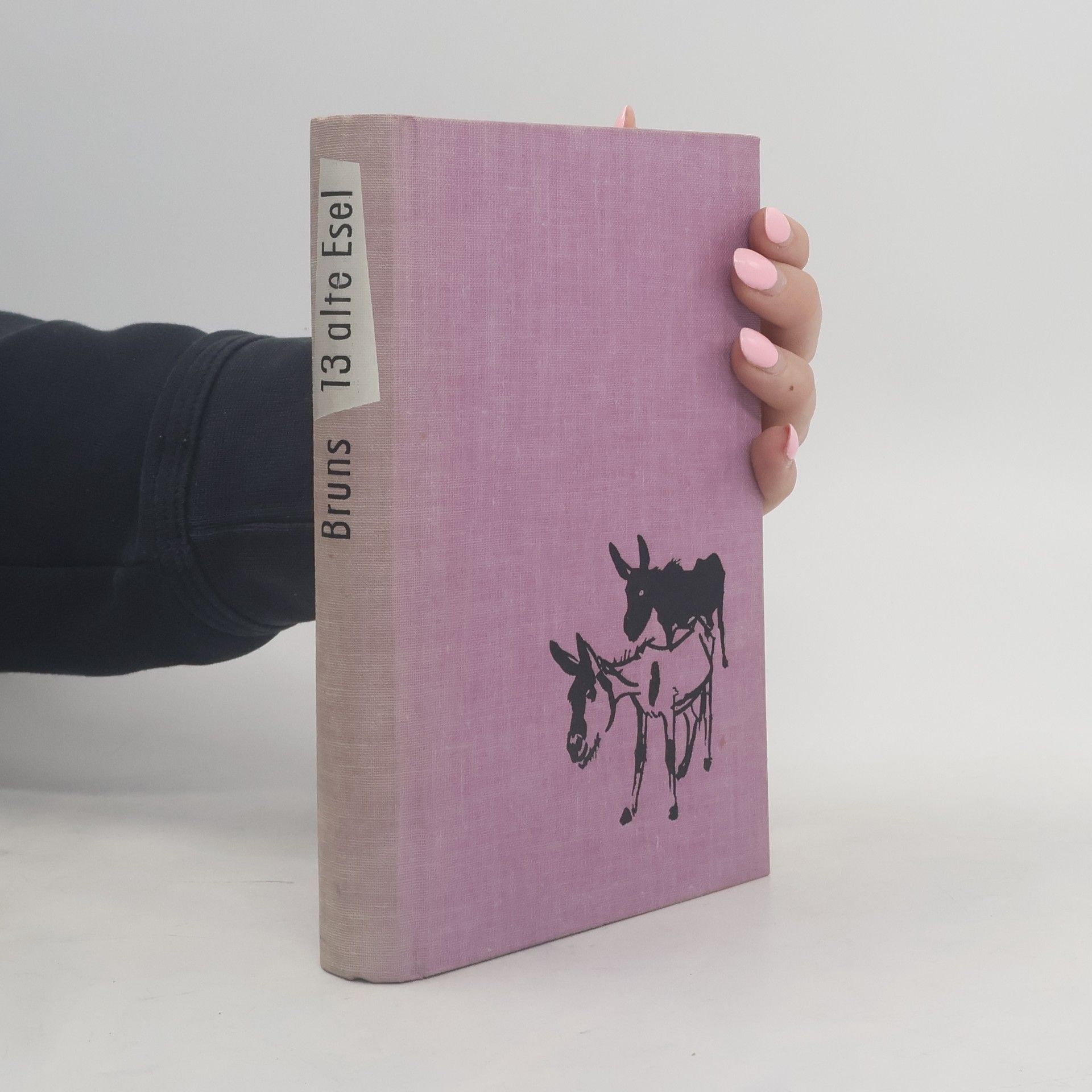 Ursula Bruns 13 alte Esel