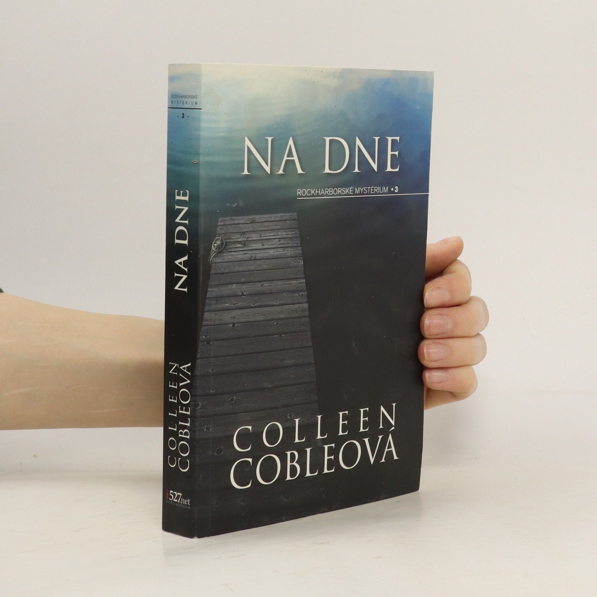 Colleen Coble Na dne