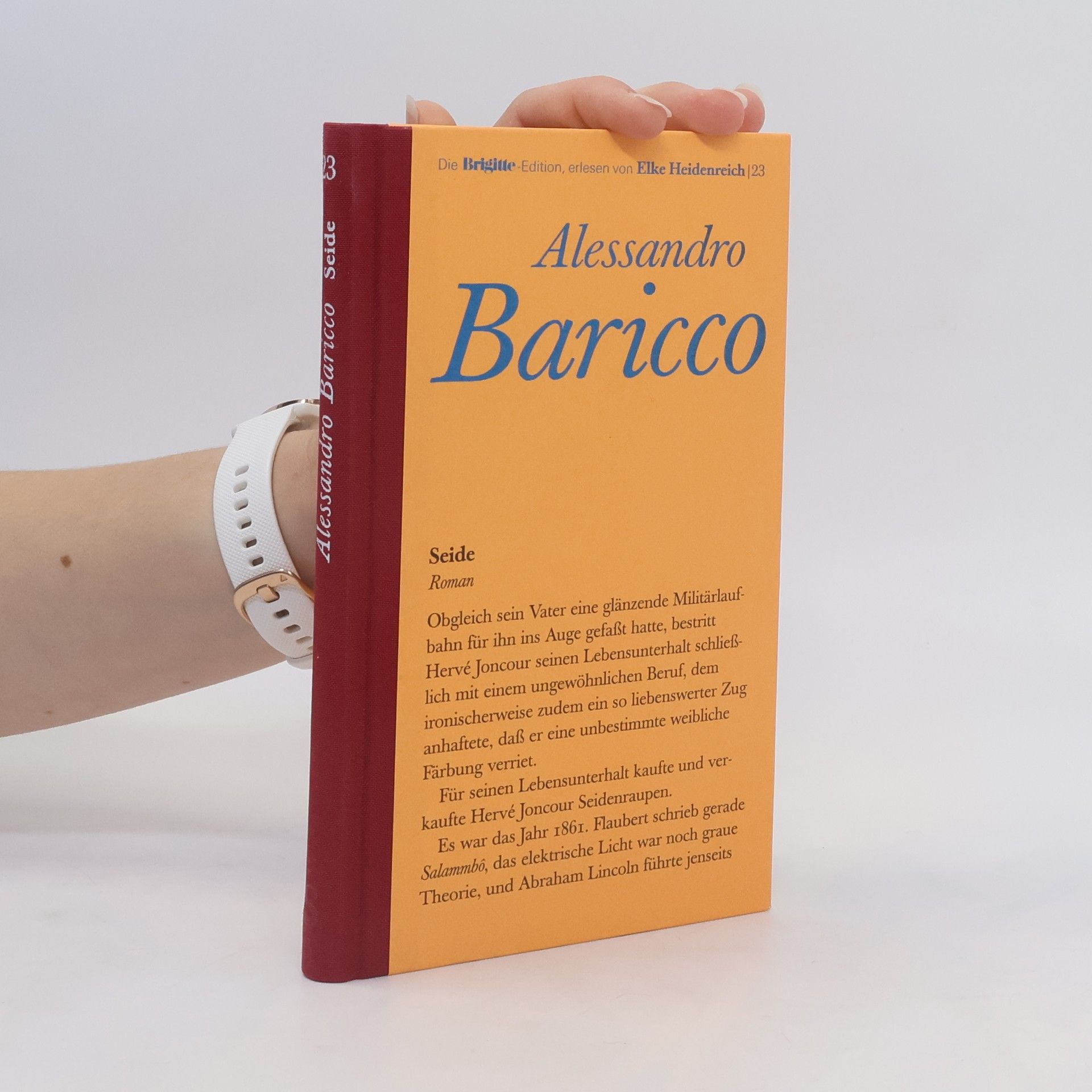 Alessandro Baricco Seide