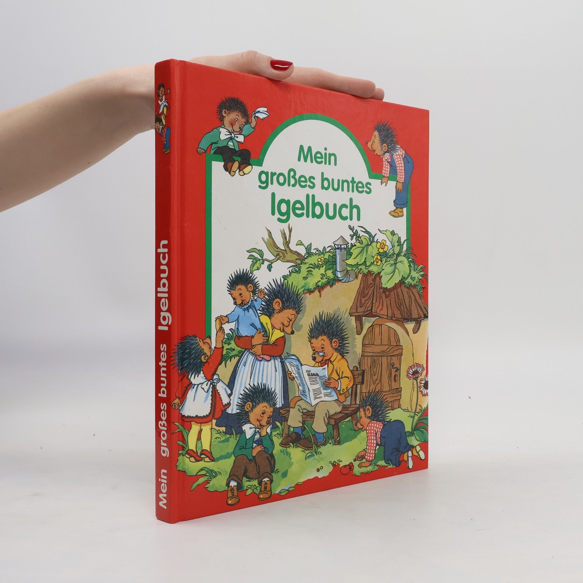 Enid Blyton Märchenwunderland