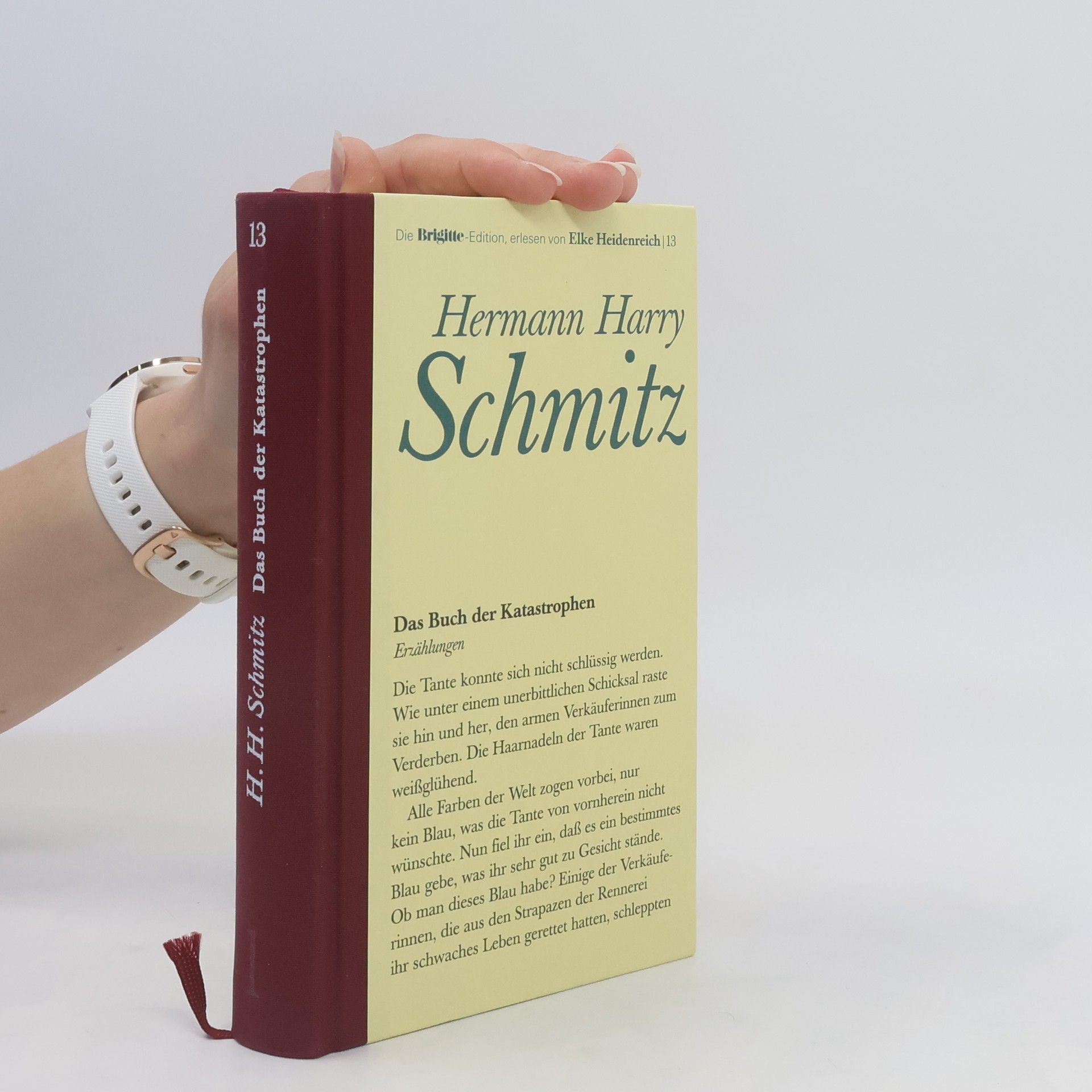 Hermann Harry Schmitz Das Buch der Katastrophen