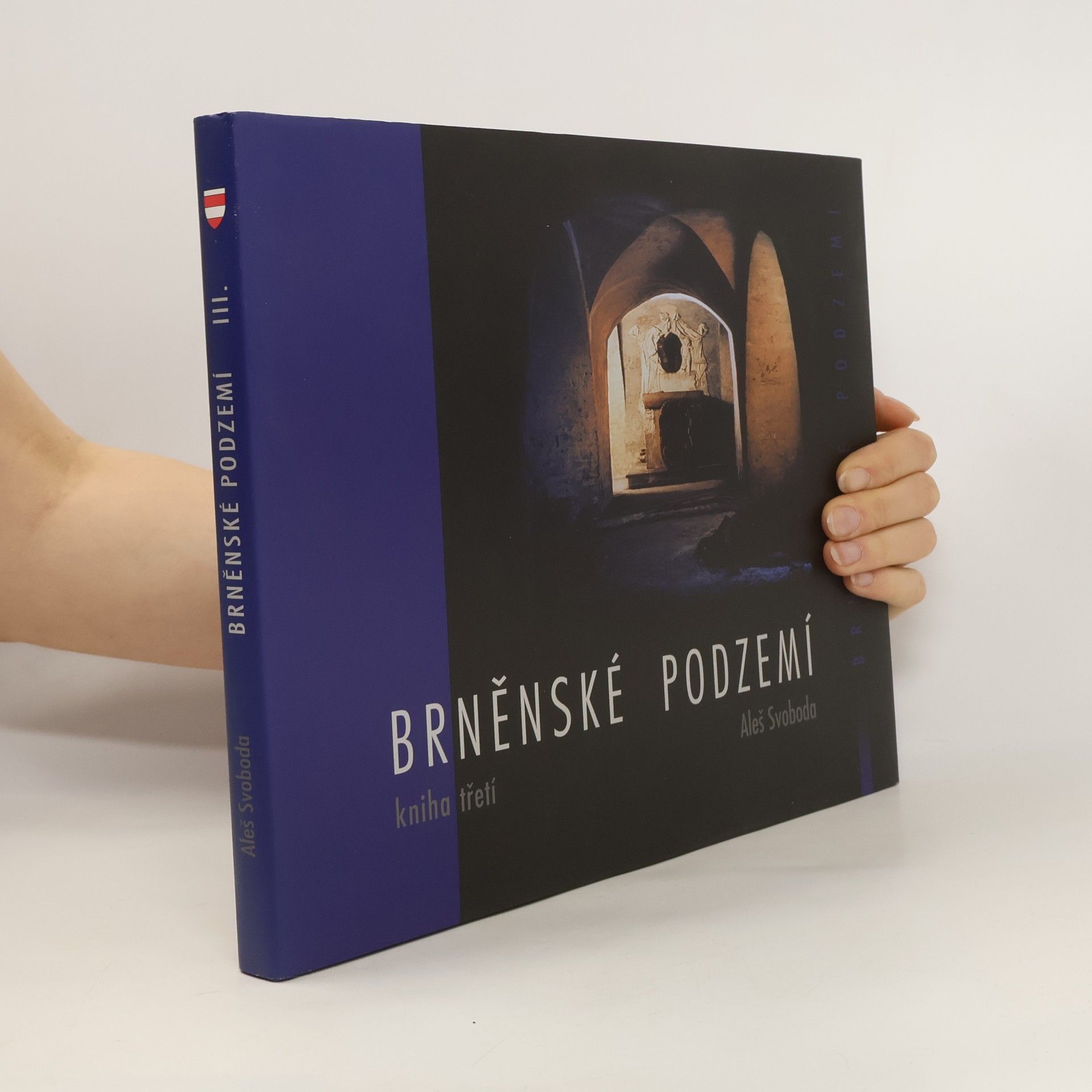 Aleš Svoboda Brněnské podzemí - Kniha třetí