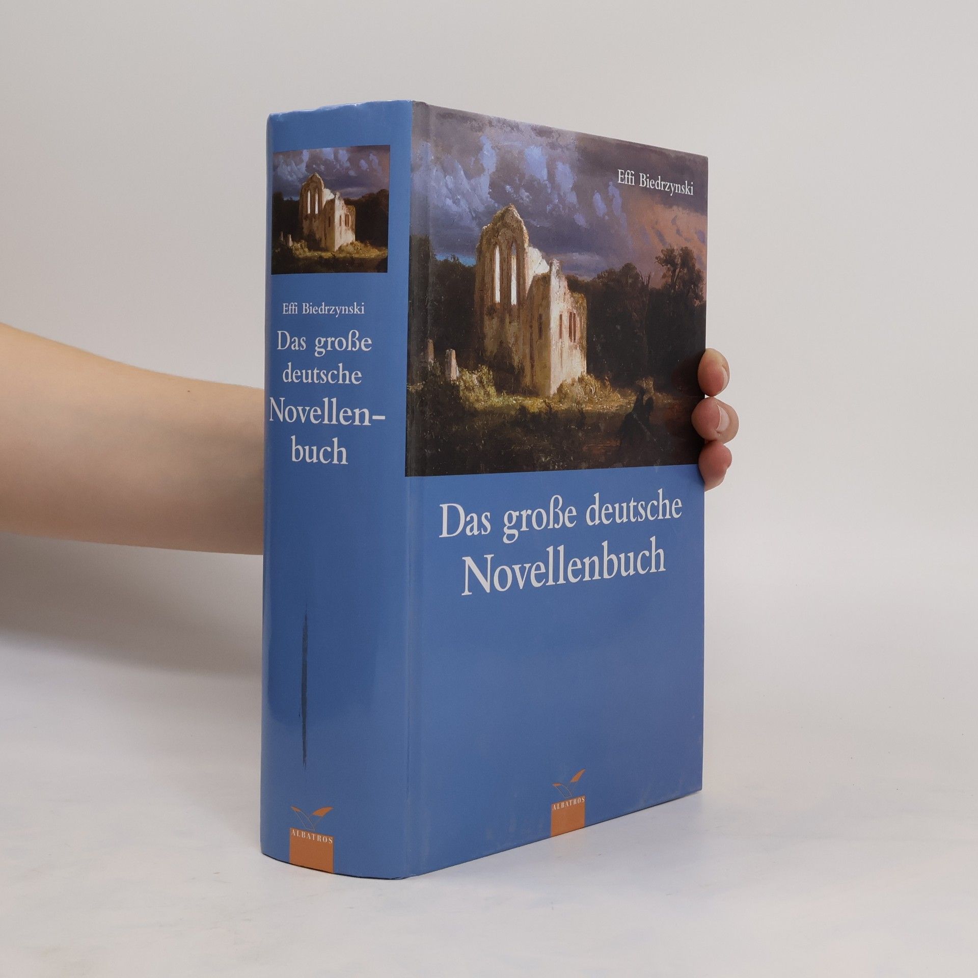 Autorenkollektiv Das große deutsche Novellenbuch