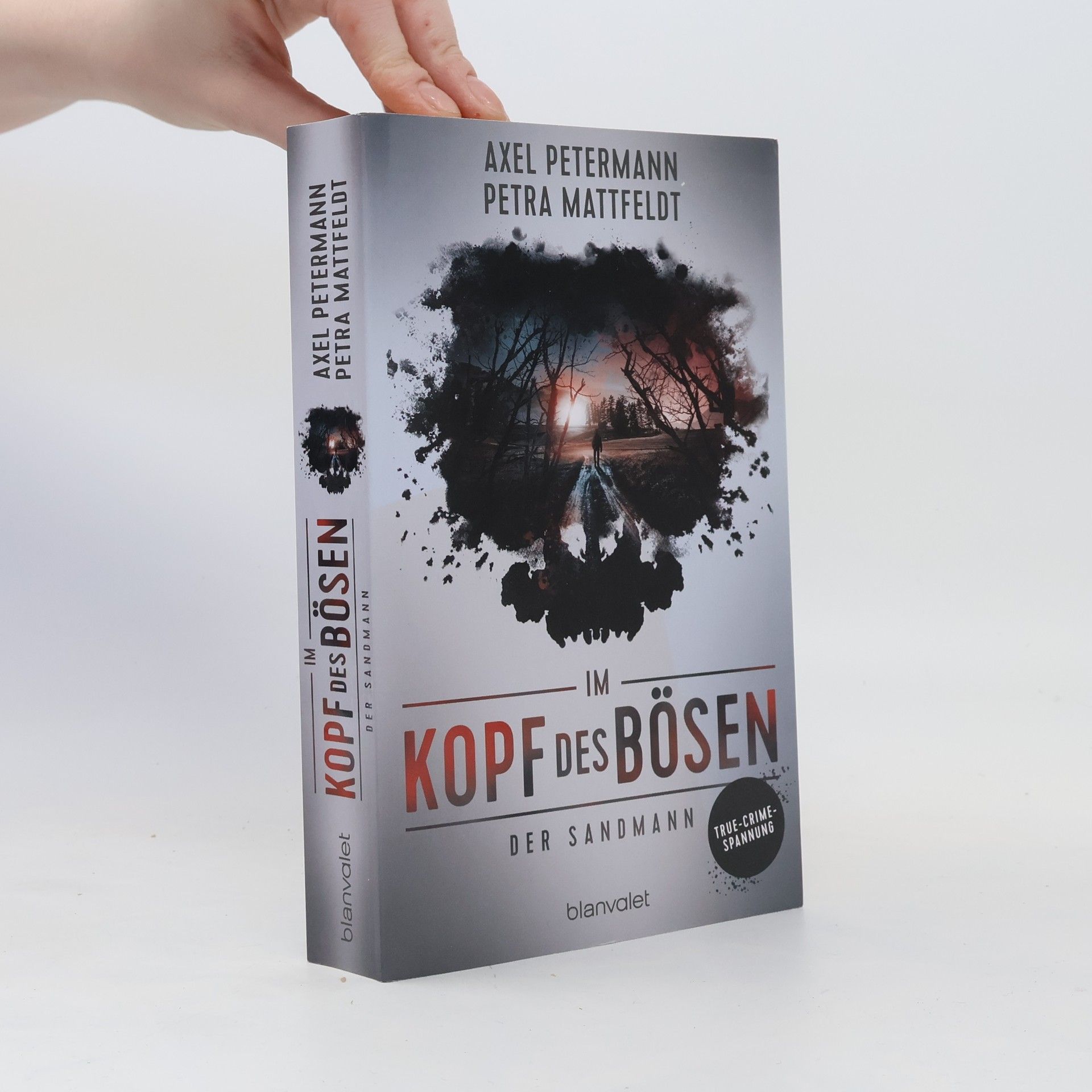 Axel Petermann Im Kopf des Bösen - Der Sandmann