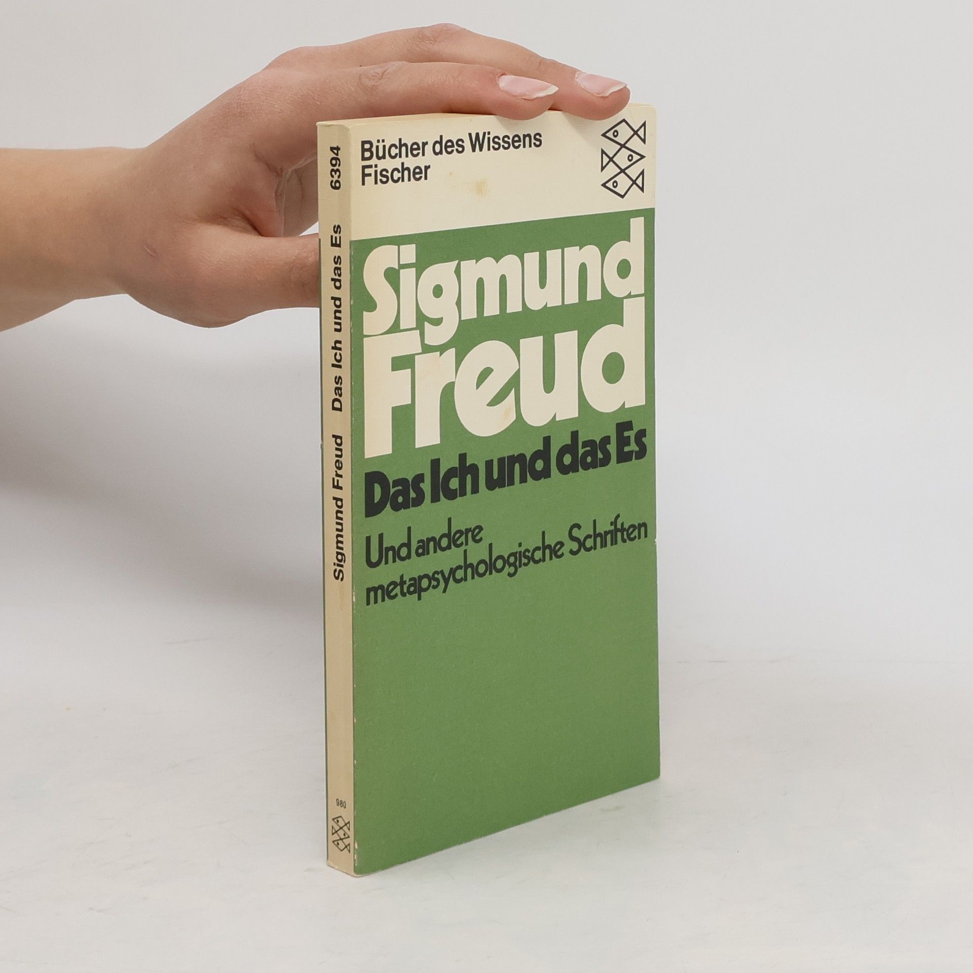 Sigmund Freud Das Ich und das Es und andere metapsychologische Schriften