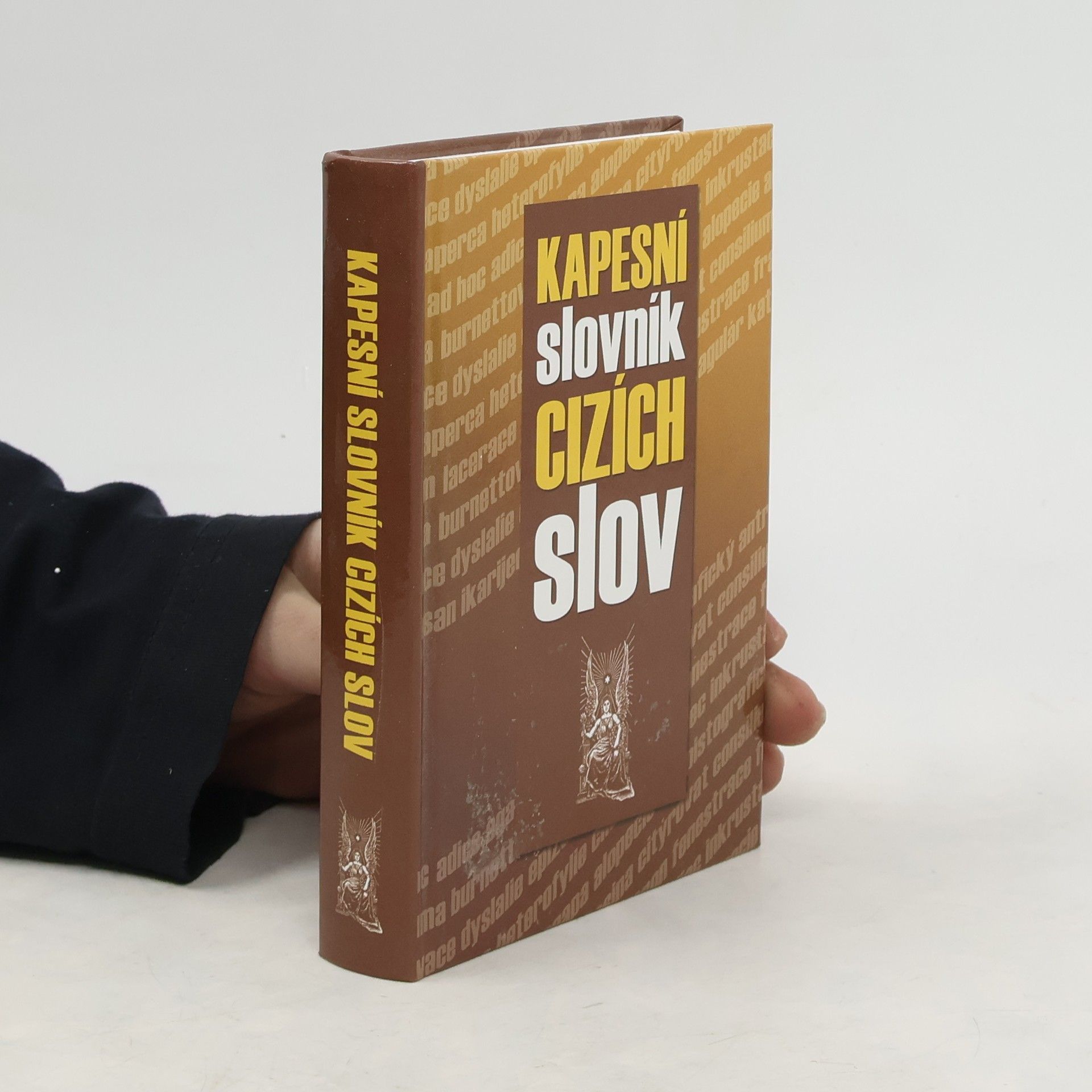 Collective Kapesní slovník cizích slov