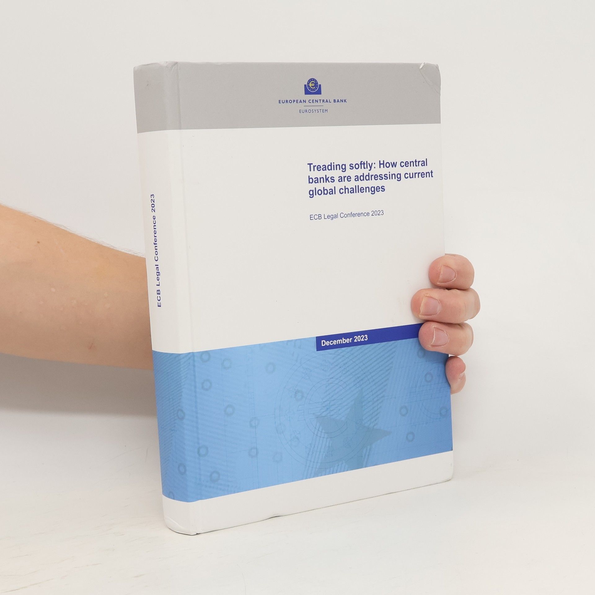 Autorenkollektiv Treading softly: How central banks are addressing current global challenges