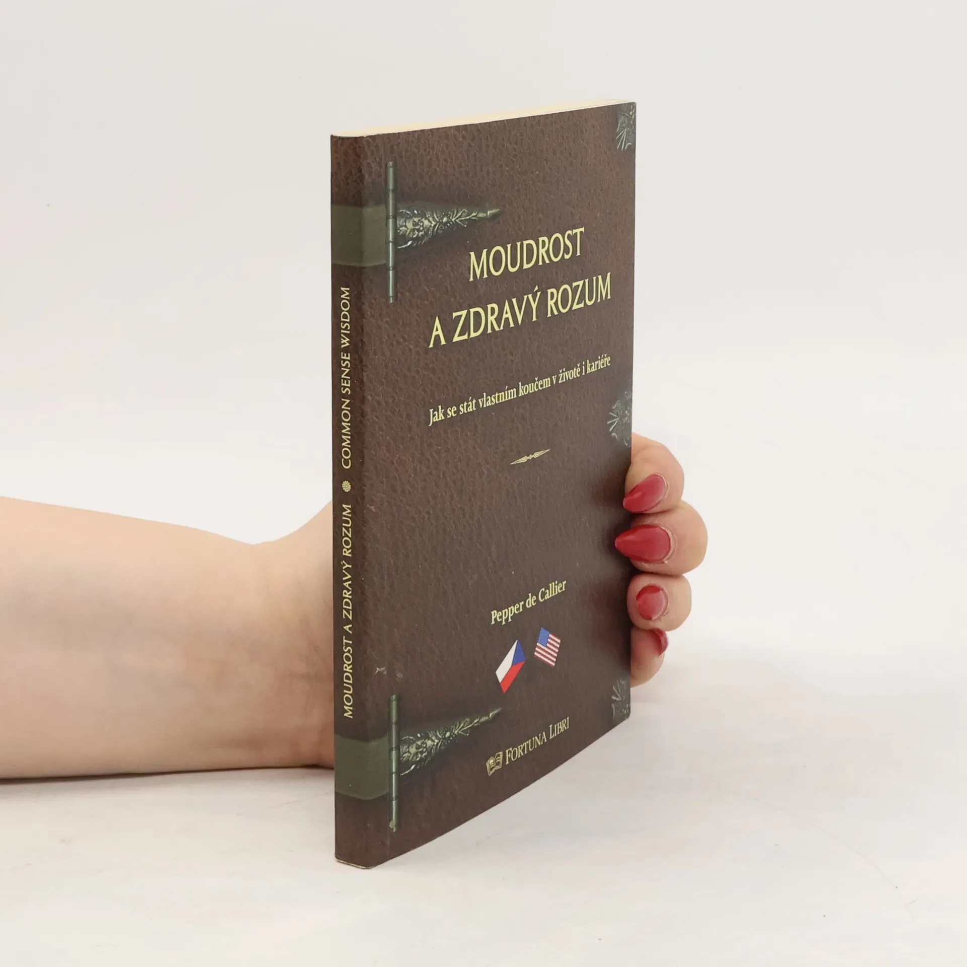 Moudrost a zdravý rozum: Jak se stát vlastním koučem v životě i kariéře = Common sense wisdom: Being your own career and life coach | Book | Hardcover