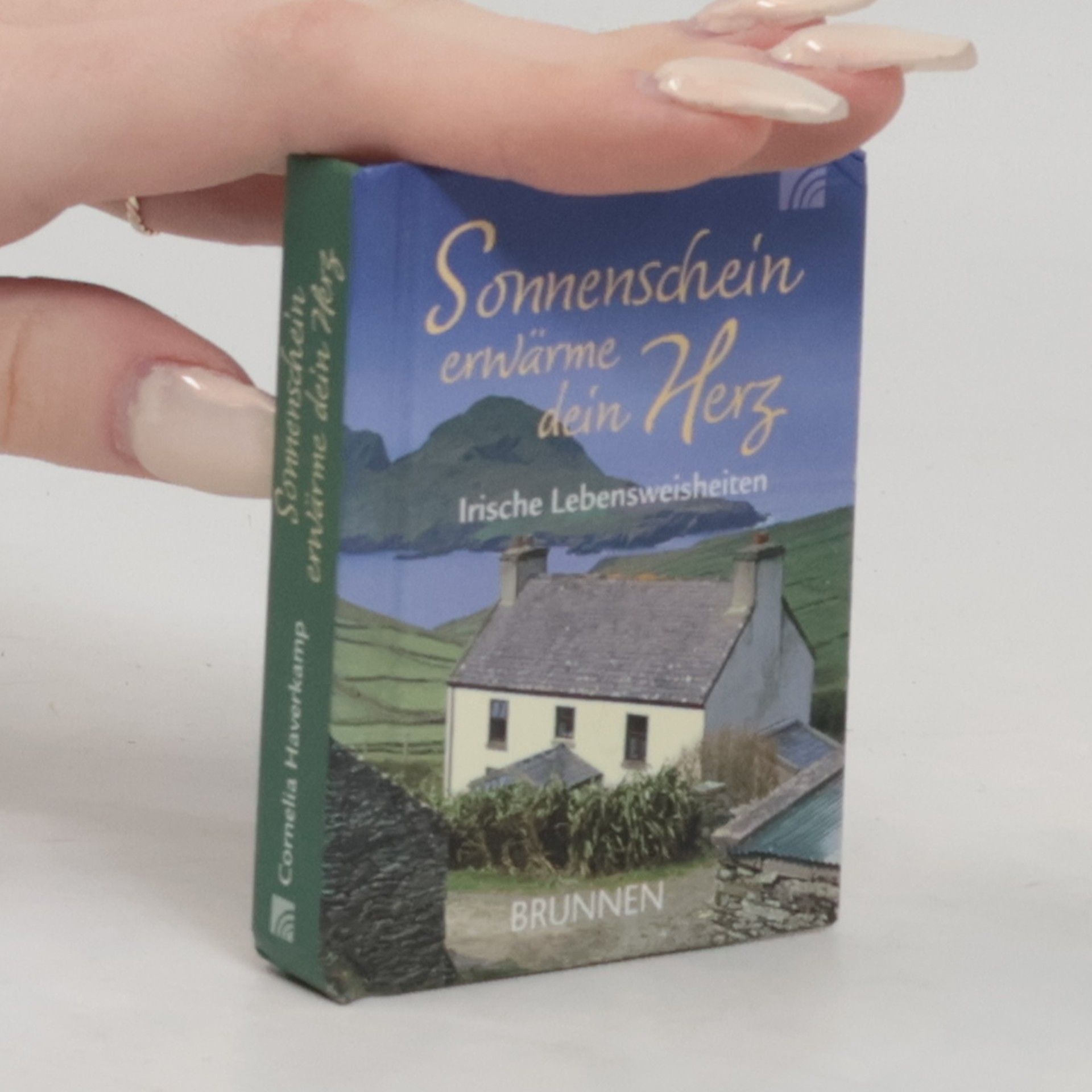 Cornelia Haverkamp Sonnenschein erwärme dein Herz