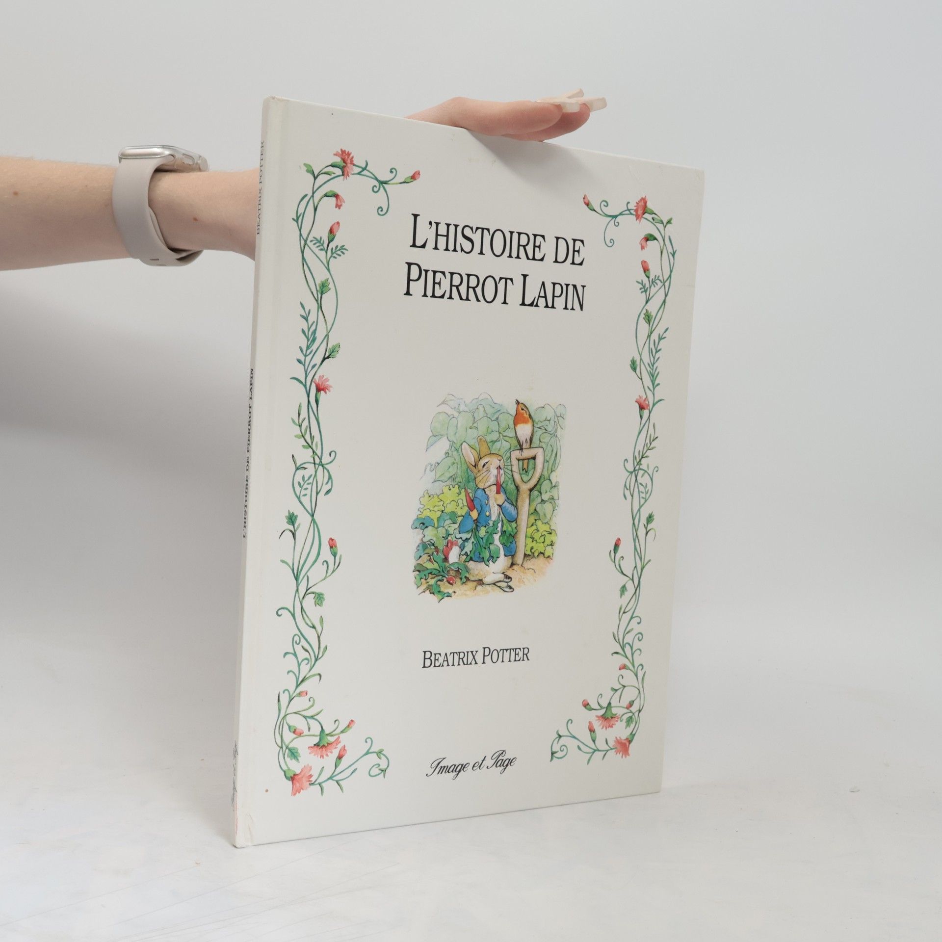 Beatrix Potter L'histoire de Pierrot Lapin