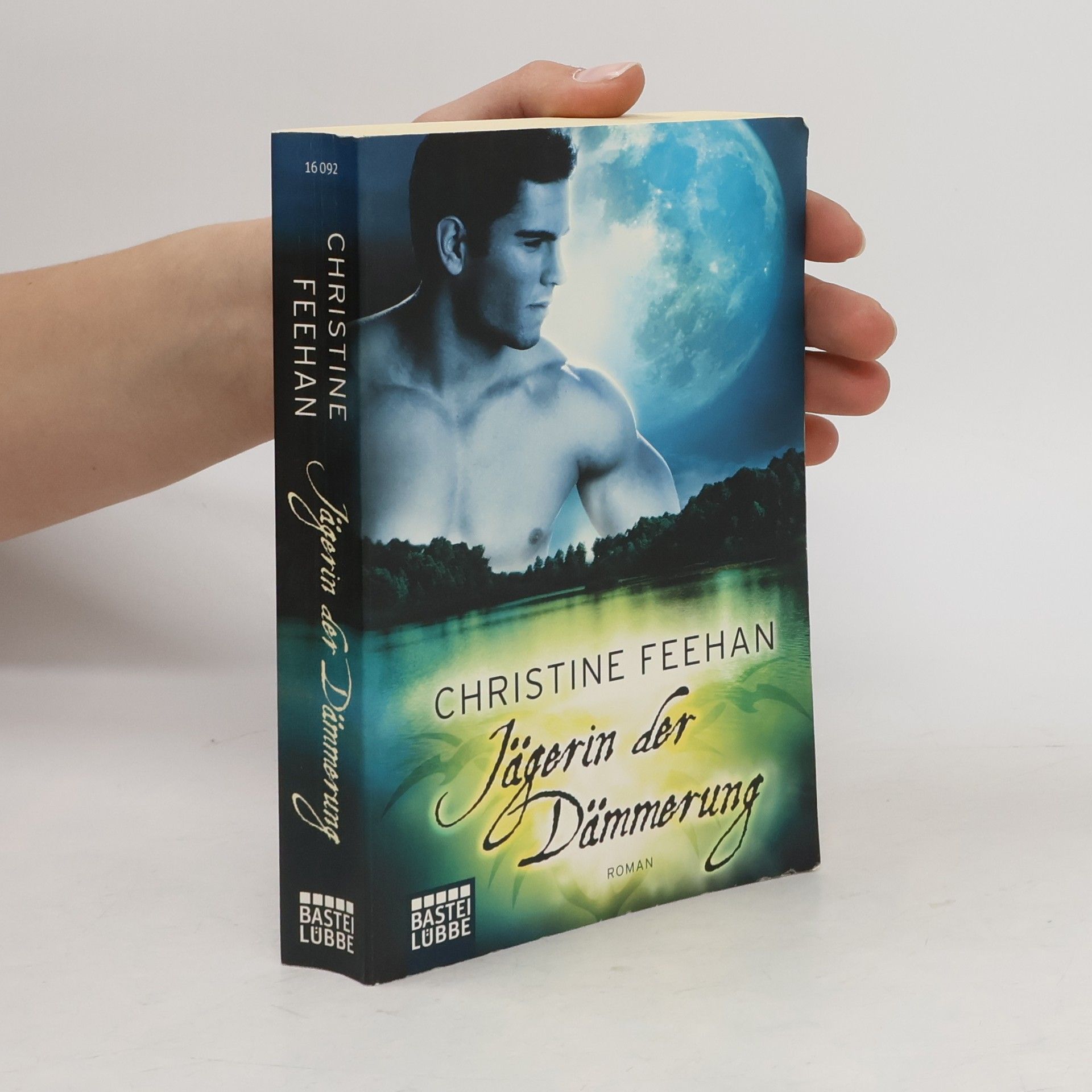 Christine Feehan Jägerin der Dämmerung