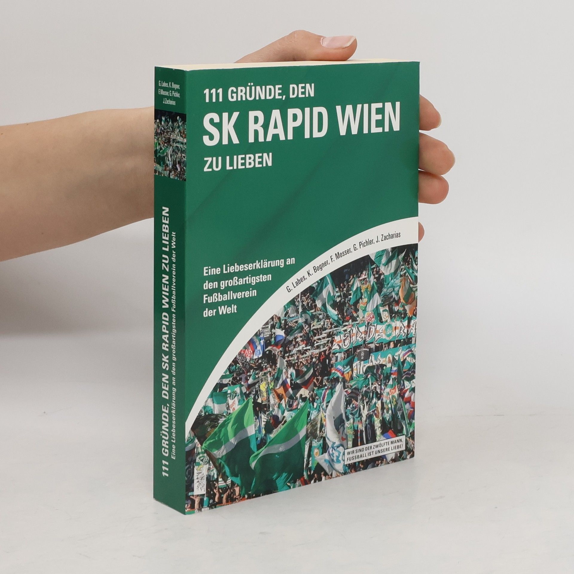 Gregor Labes 111 Gründe, den SK Rapid Wien zu lieben