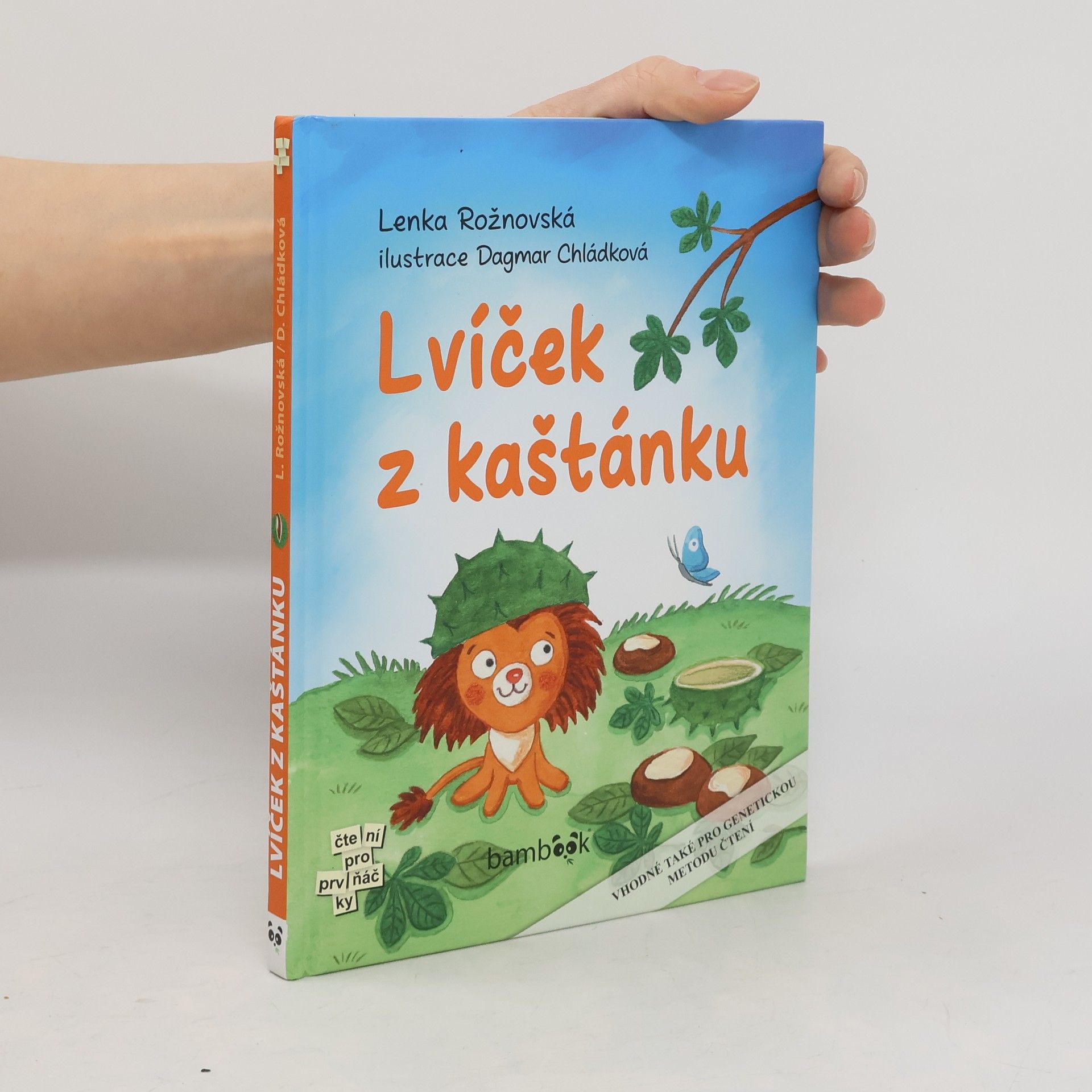Lenka Rožnovská Lvíček z kaštánku