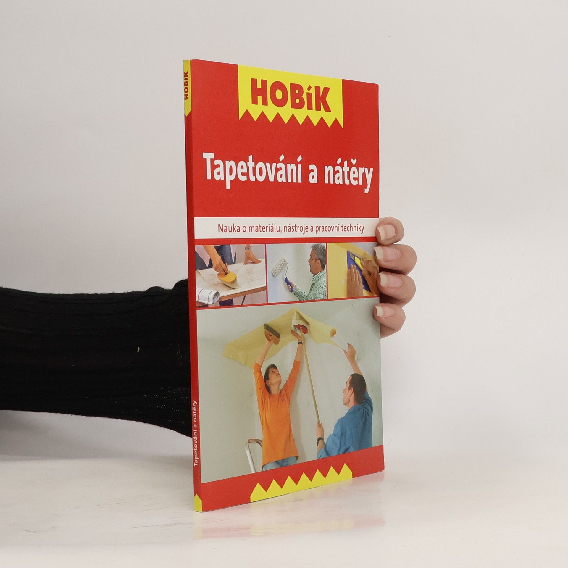 Autorenkollektiv Tapetování a nátěry : nauka o materiálu, nástroje a pracovní techniky