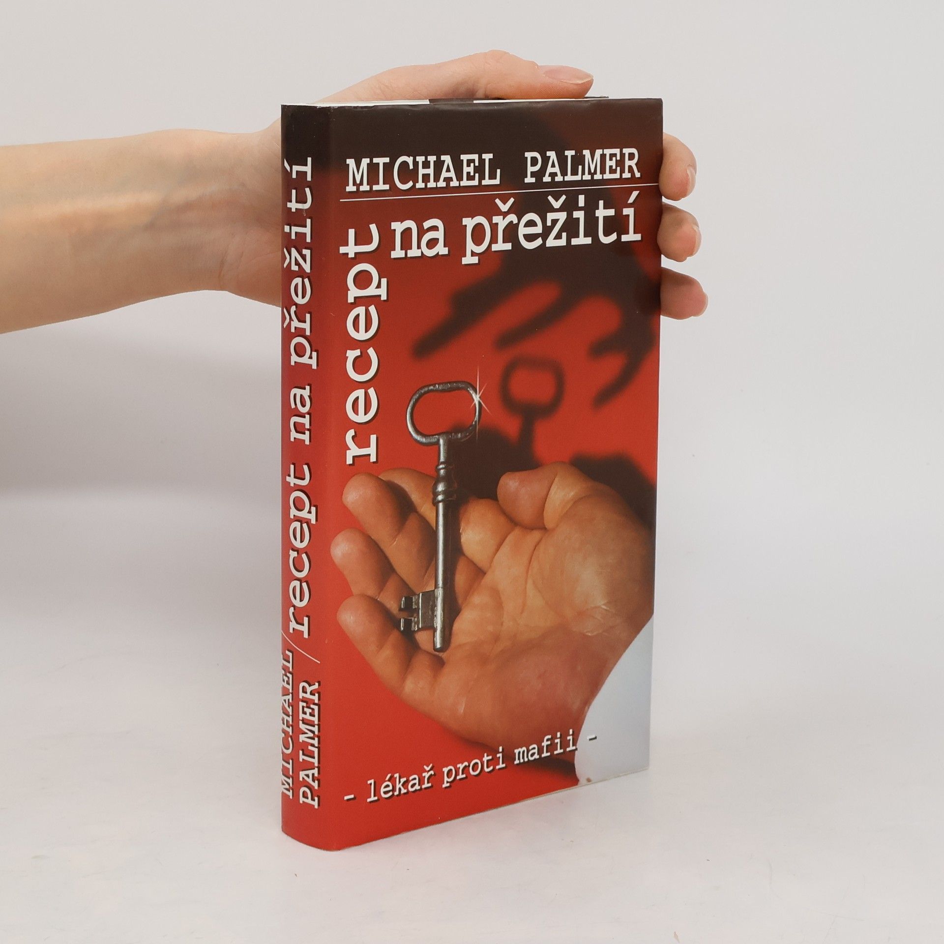 Michael Palmer Recept na přežití