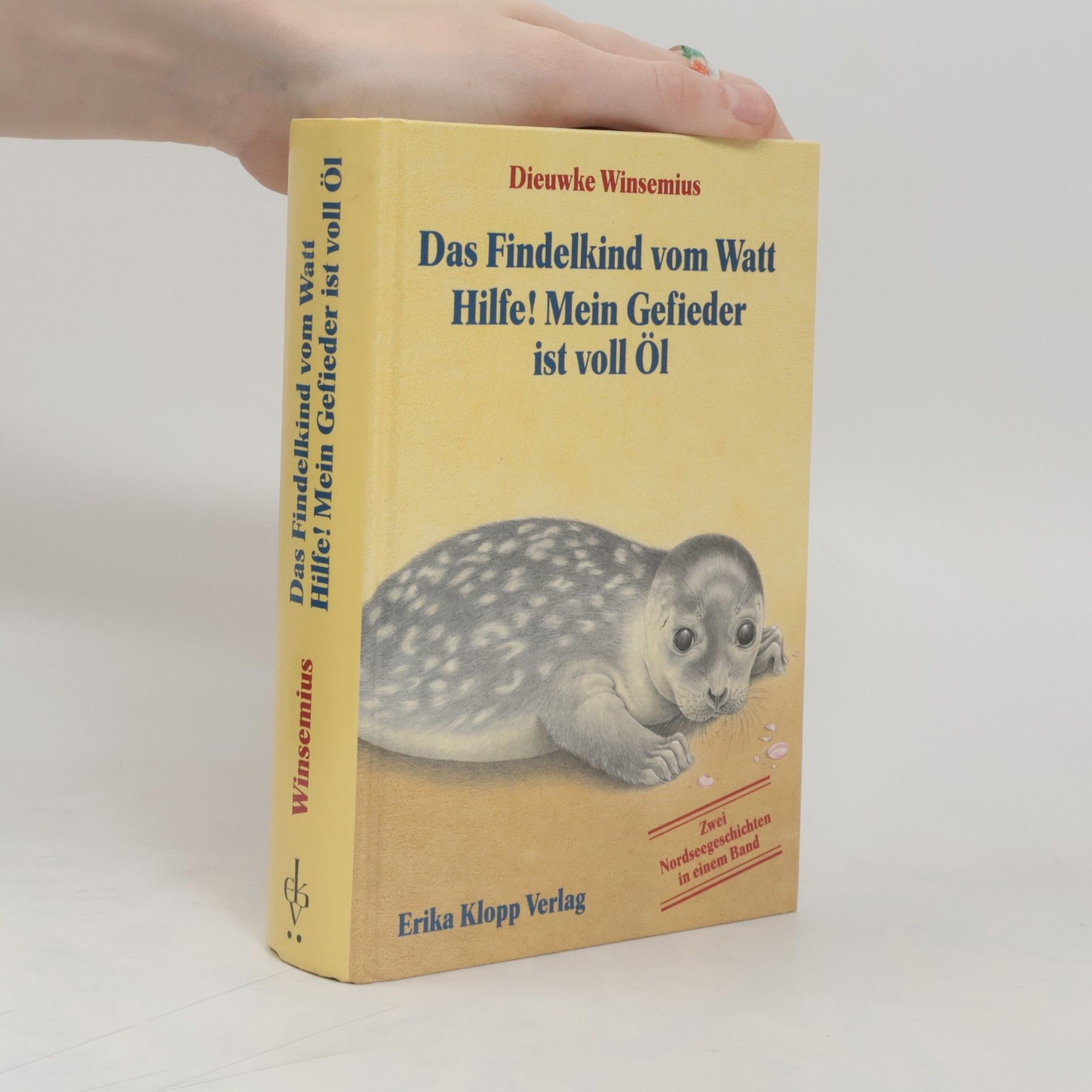 Dieuwke Winsemius Das Findelkind vom Watt