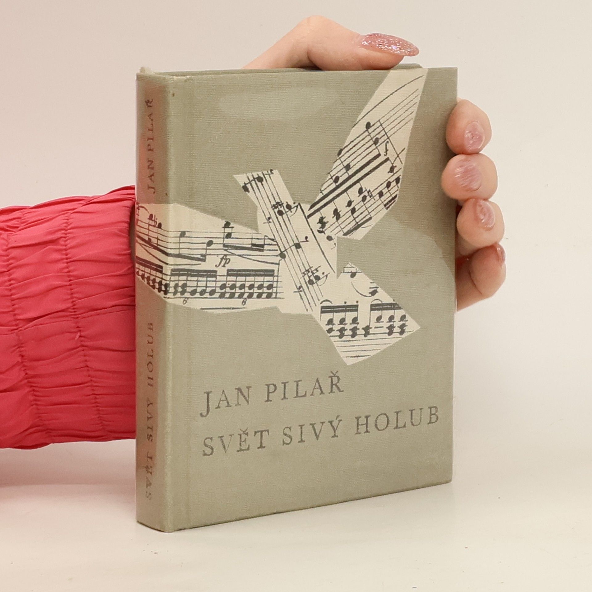 Jan Pilař Svět sivý holub