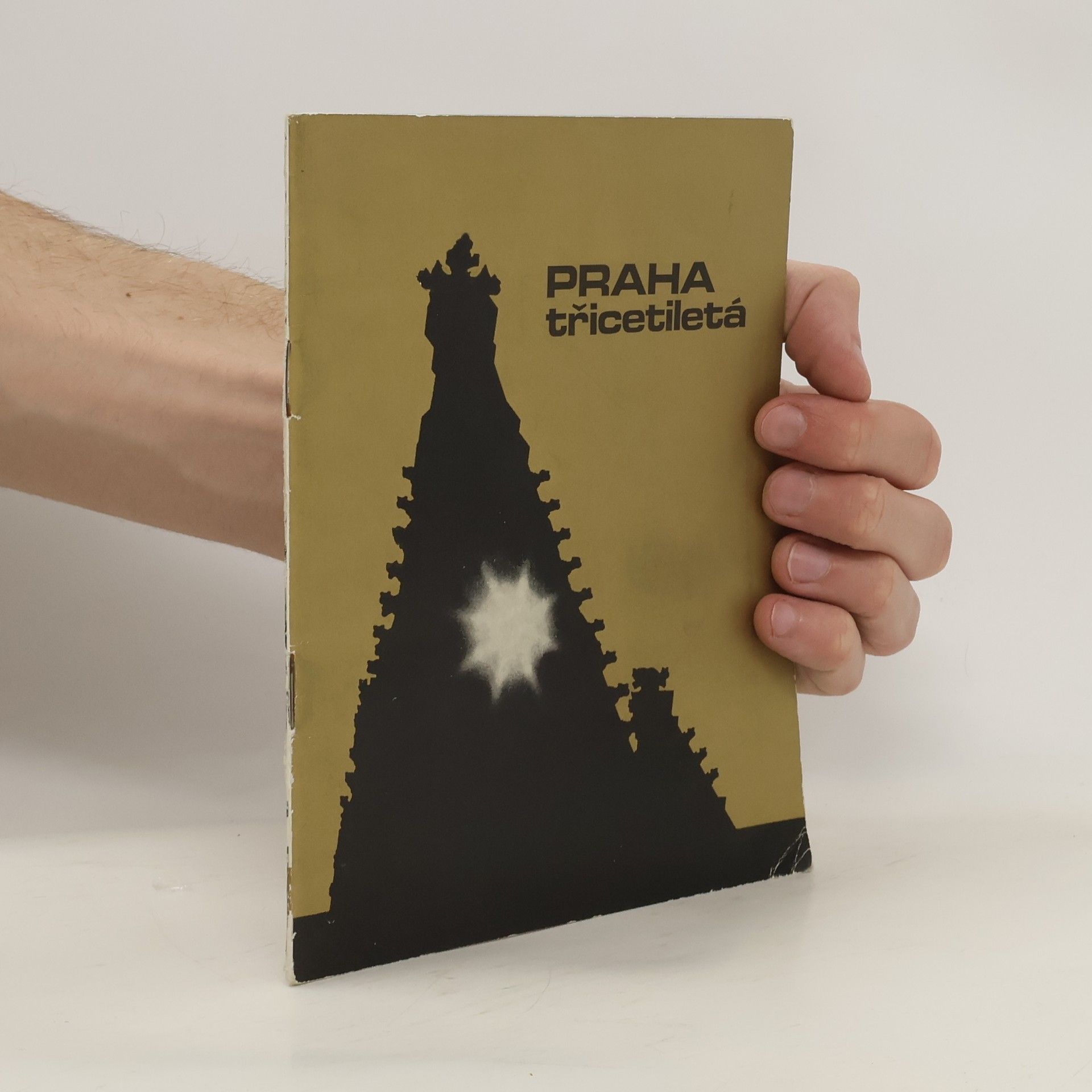 Collectif d'auteurs Praha třicetiletá