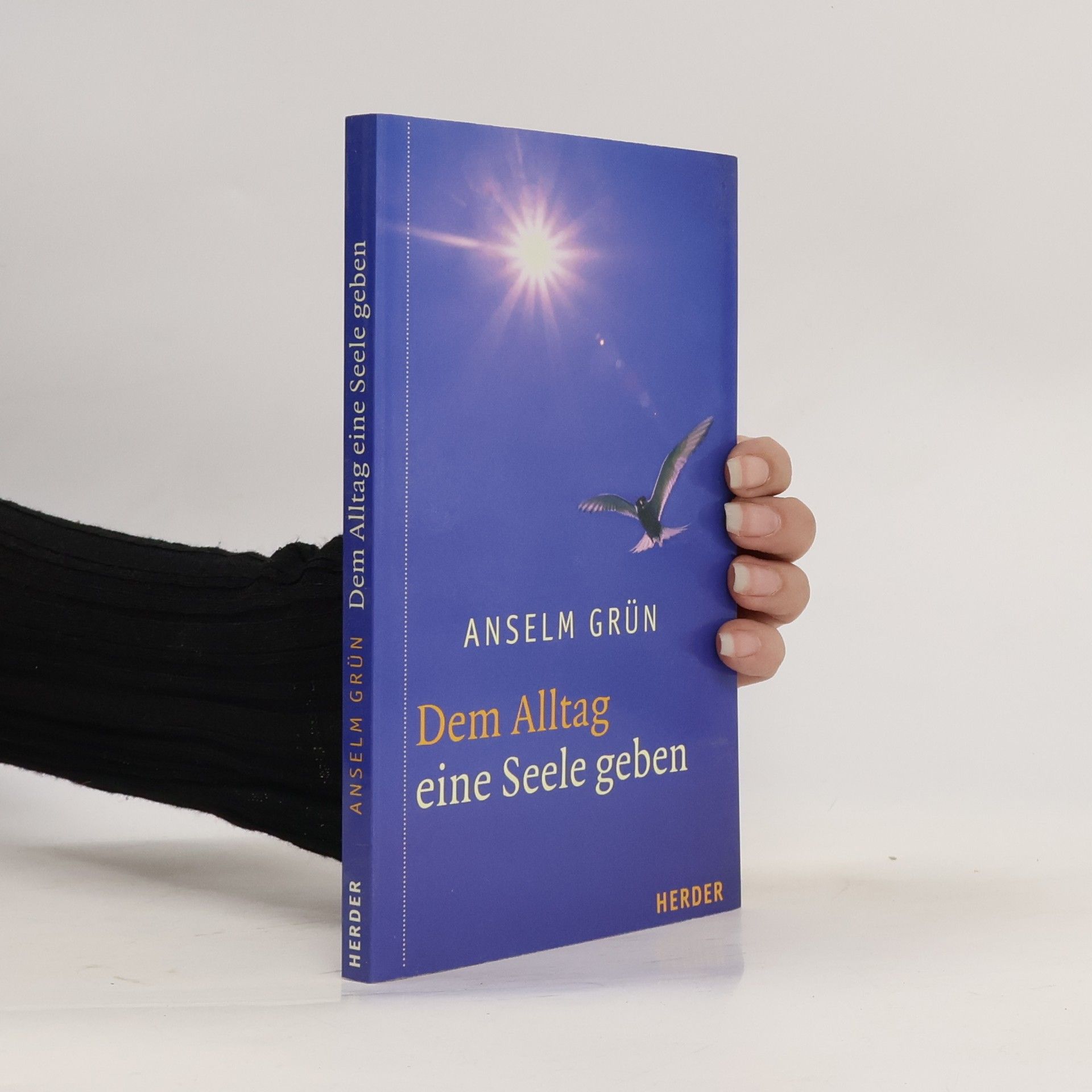 Anselm Grün Dem Alltag eine Seele geben