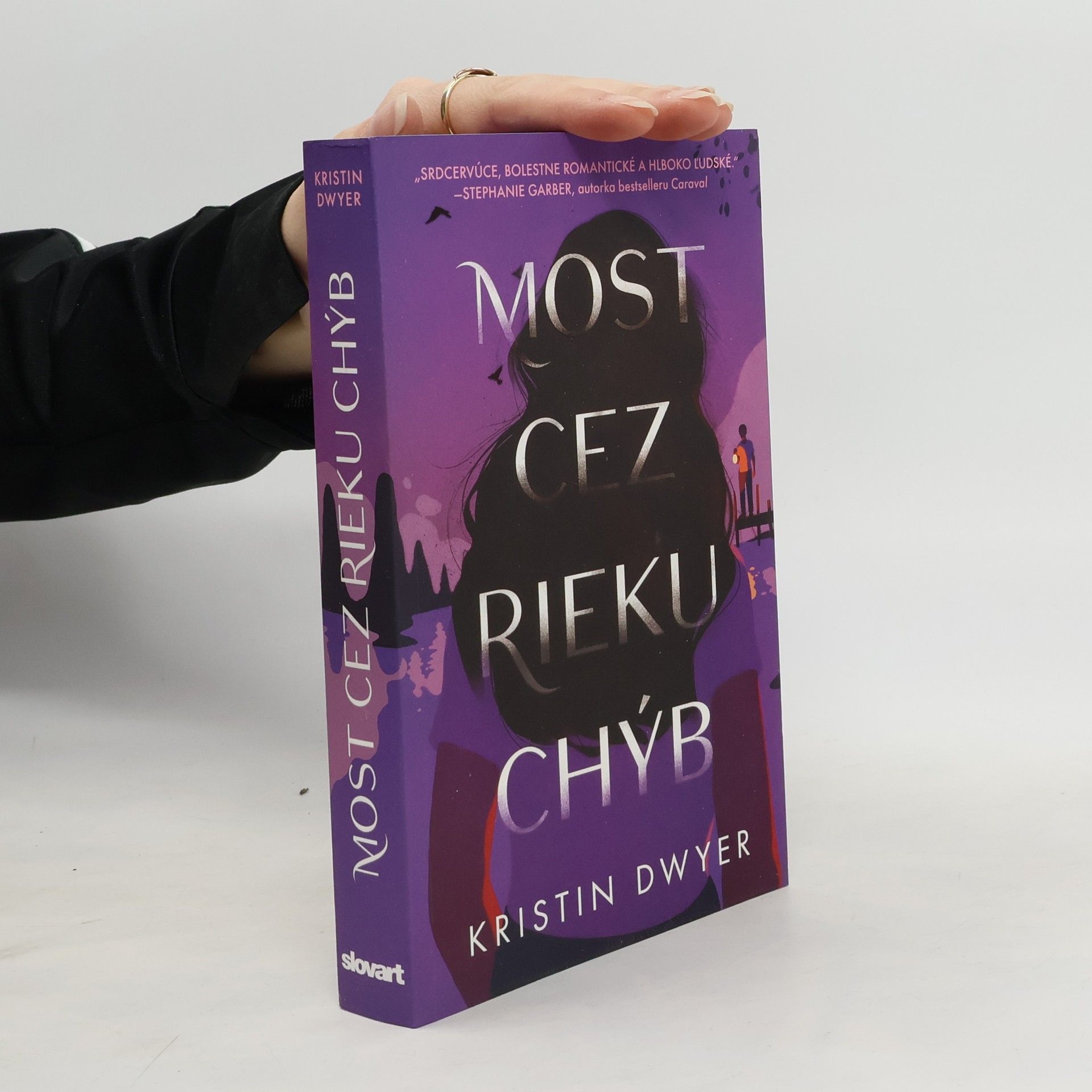 Kristin Dwyer Most cez rieku chýb