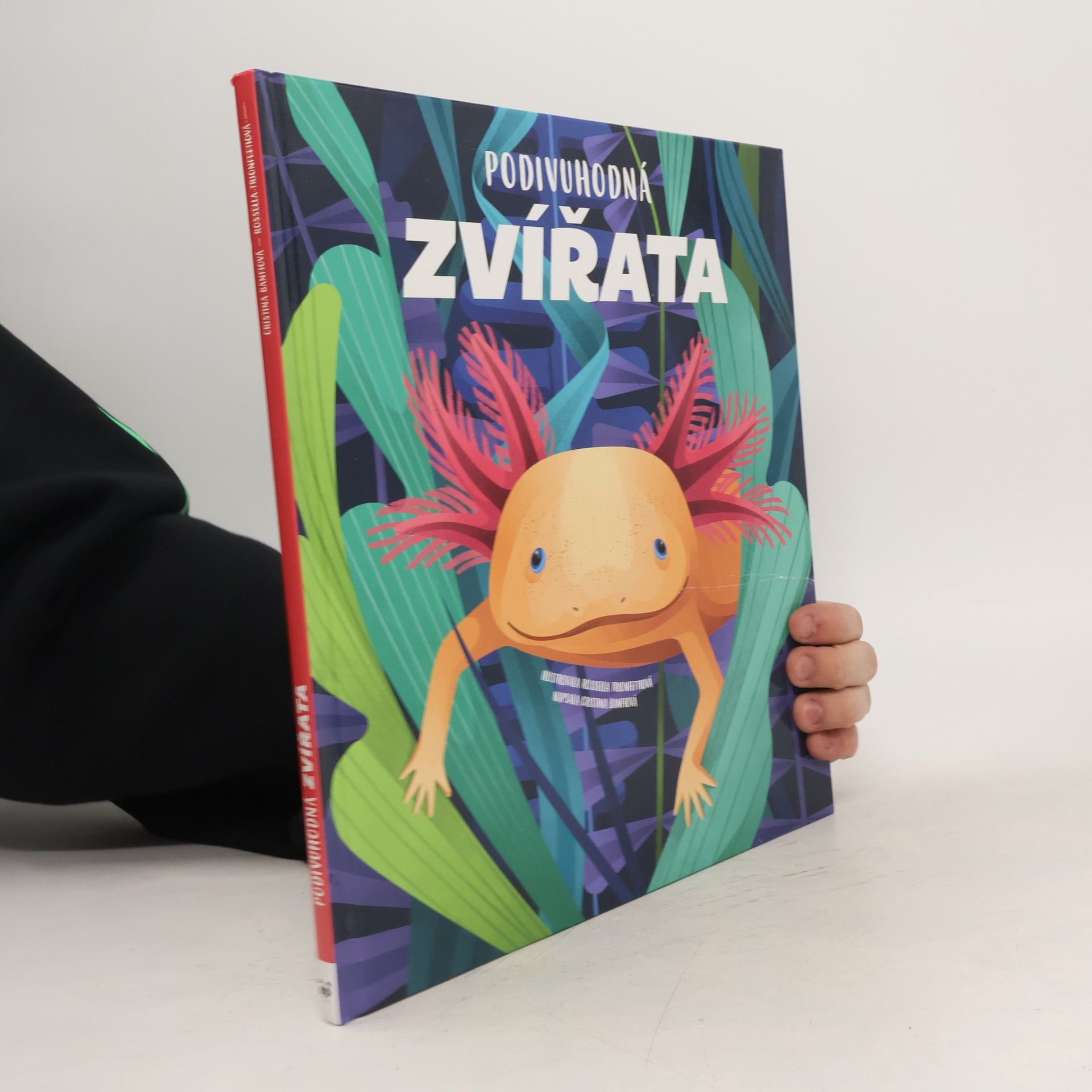 Cristina M. Banfi Podivuhodná zvířata
