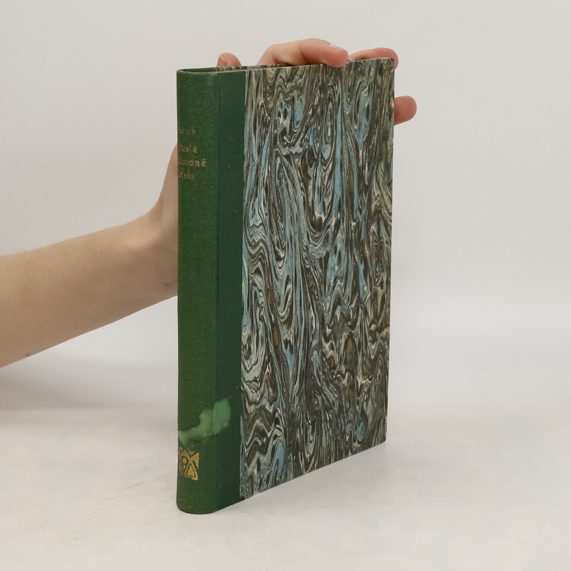 Autorenkollektiv Poesie svobodné polsky