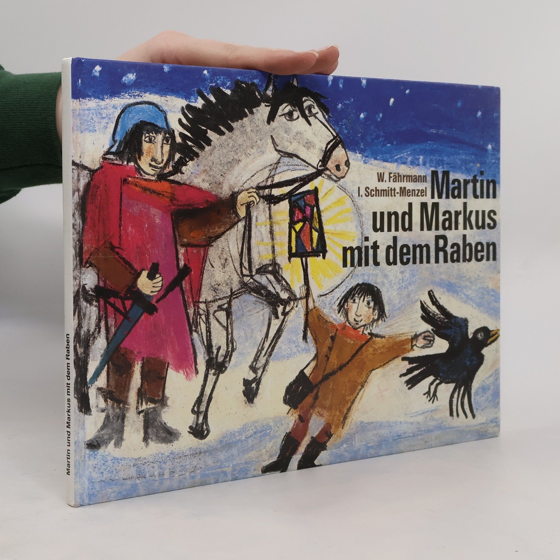 Willi Fährmann Martin und Markus mit dem Raben