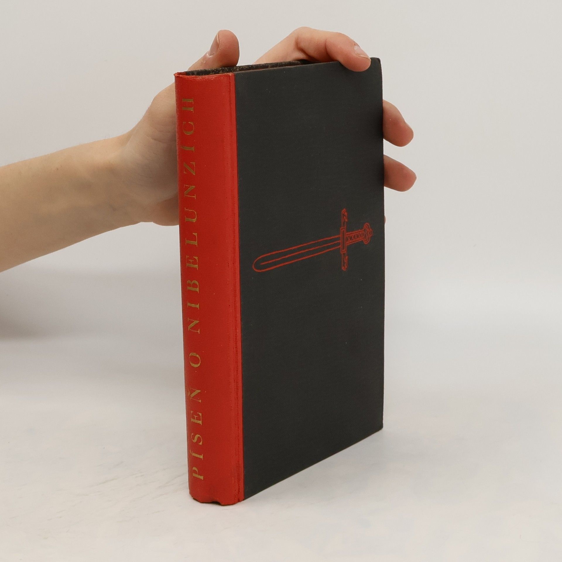 Autorenkollektiv Píseň o Nibelunzích