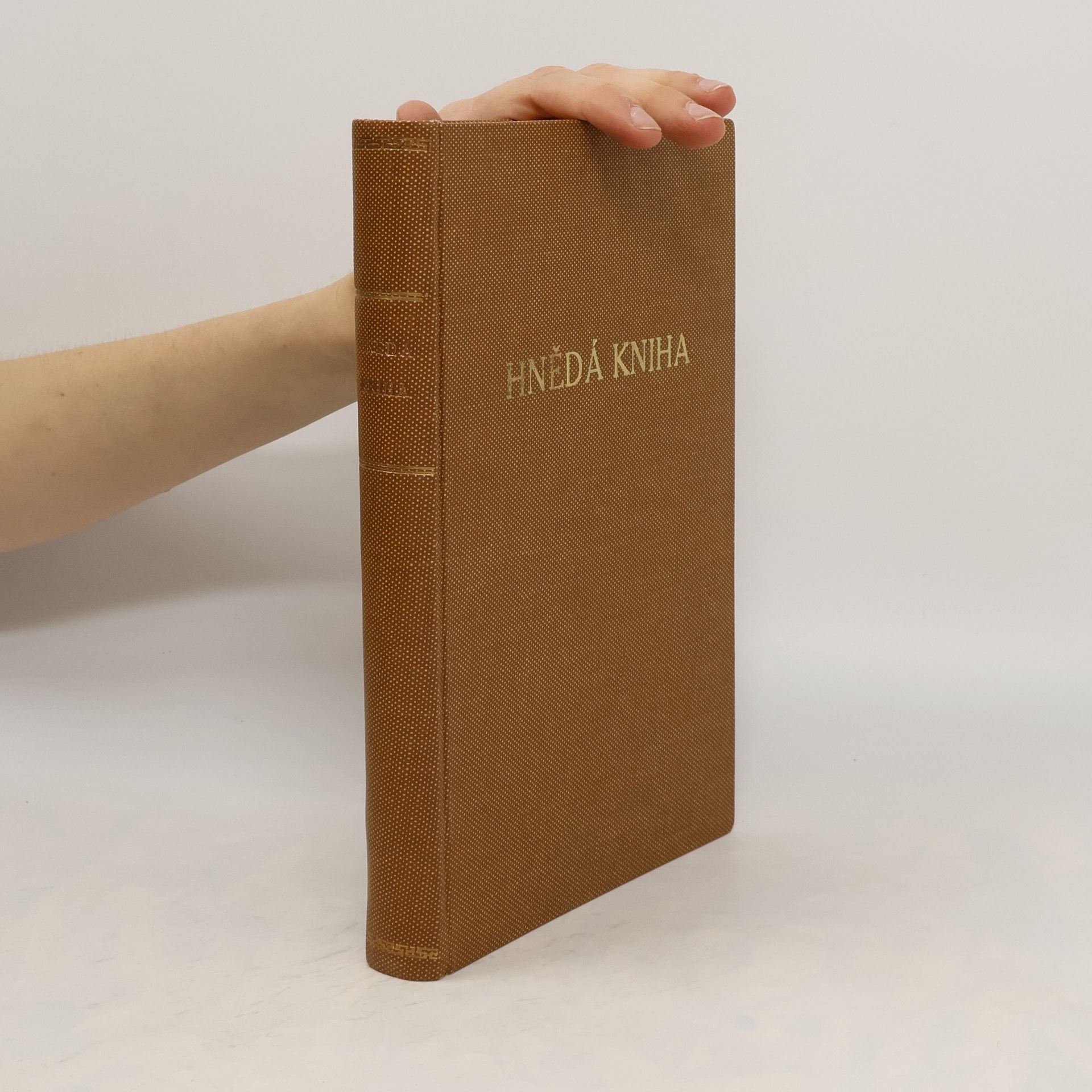 Hnědá kniha