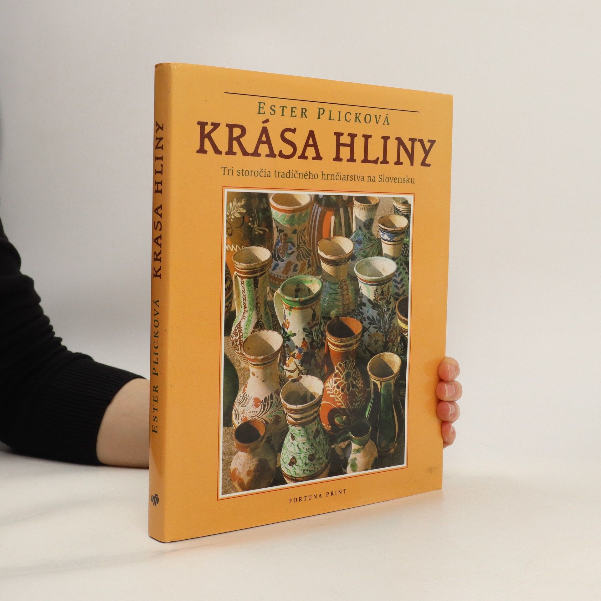 Ester Plicková Krása hliny: Tri storočia tradičného hrnčiarstva na Slovensku