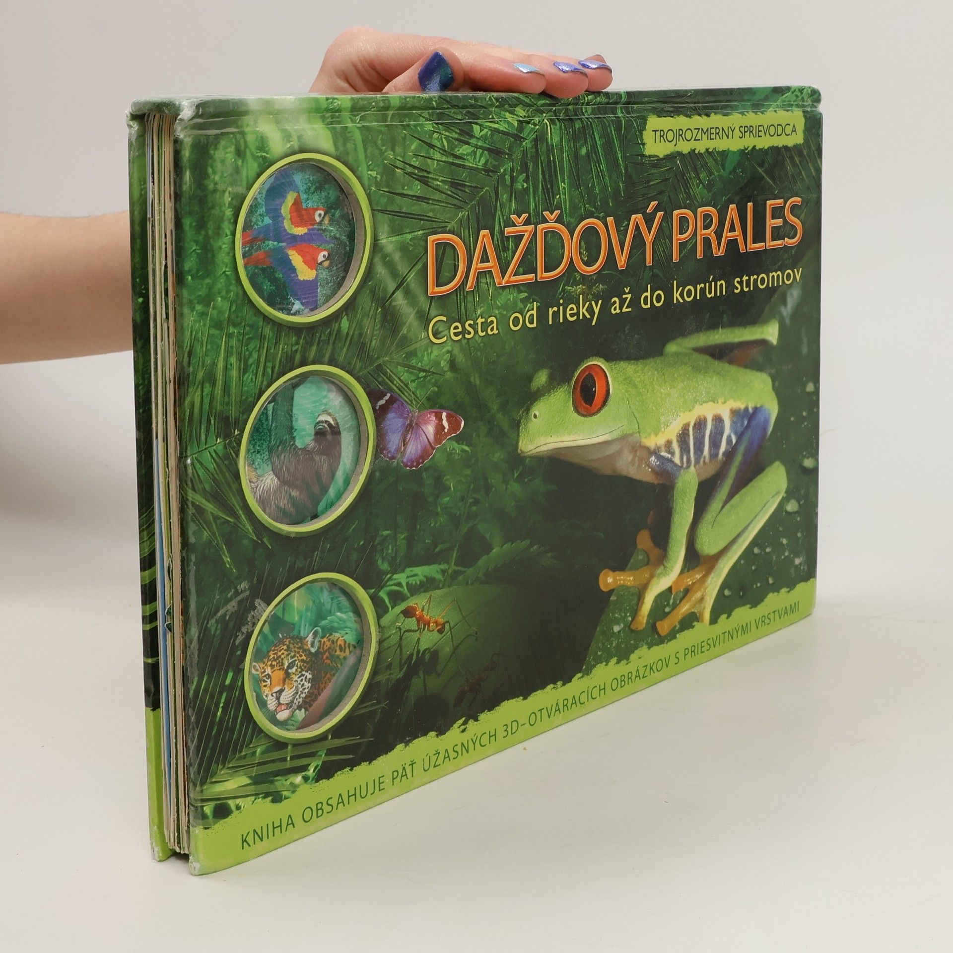 Joe Fullman Dažďový prales. Cesta od rieky až do korún stromov