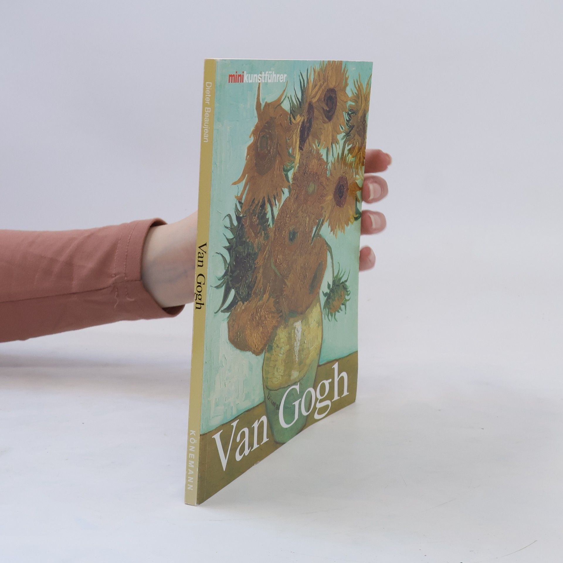Dieter Beaujean Vincent van Gogh