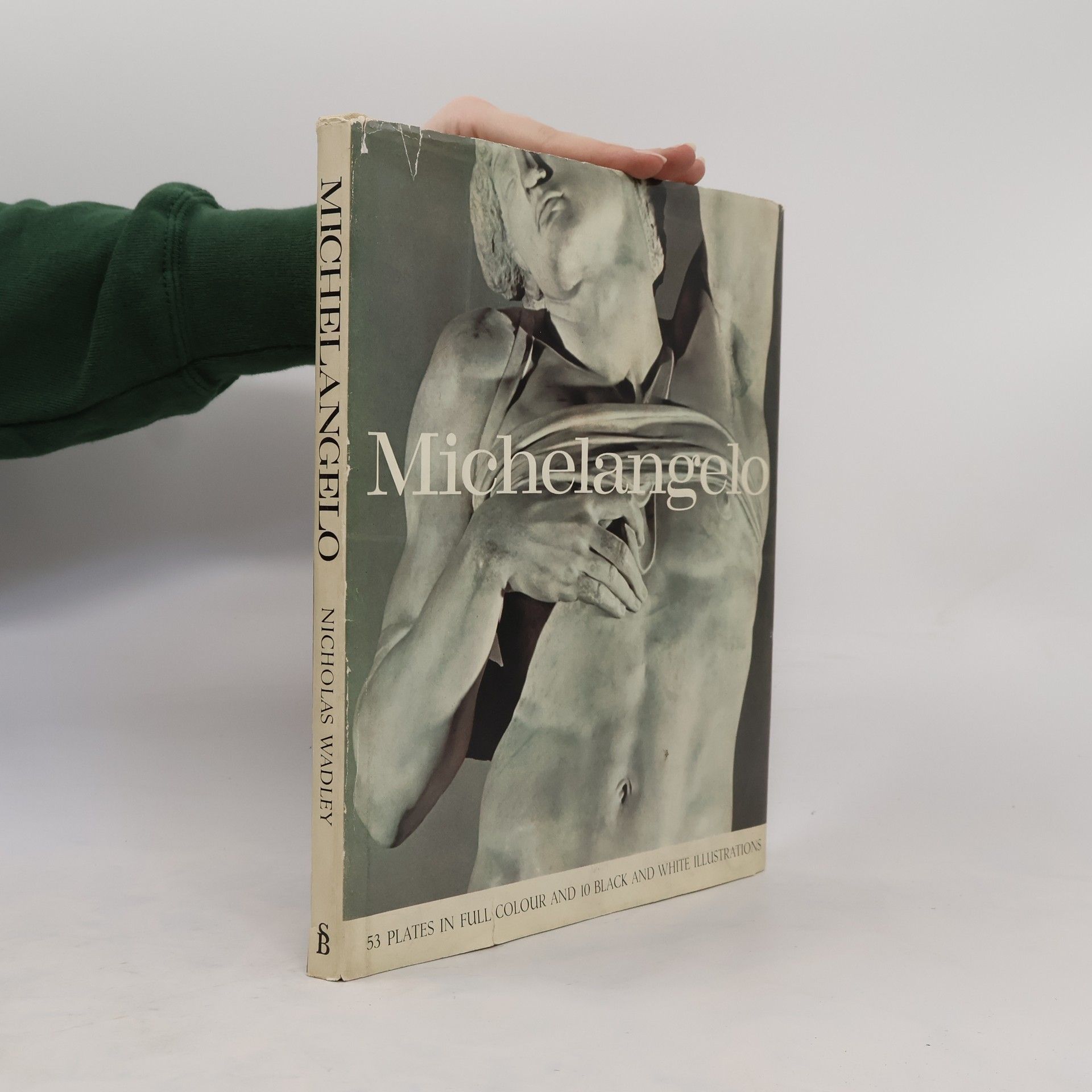 Nicholas Wadley Michelangelo