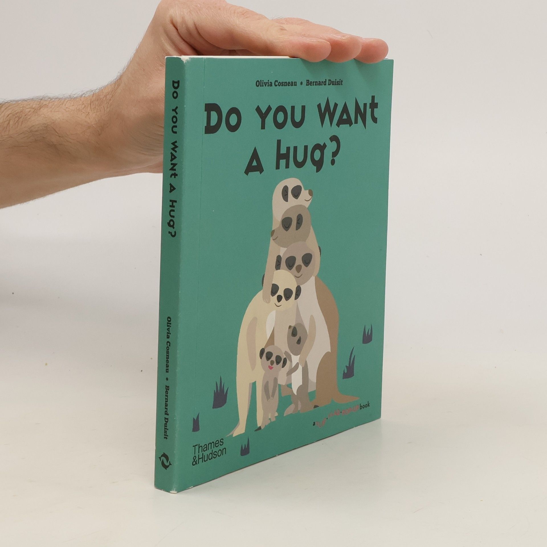 Bernard Duisit Do You Want a Hug?