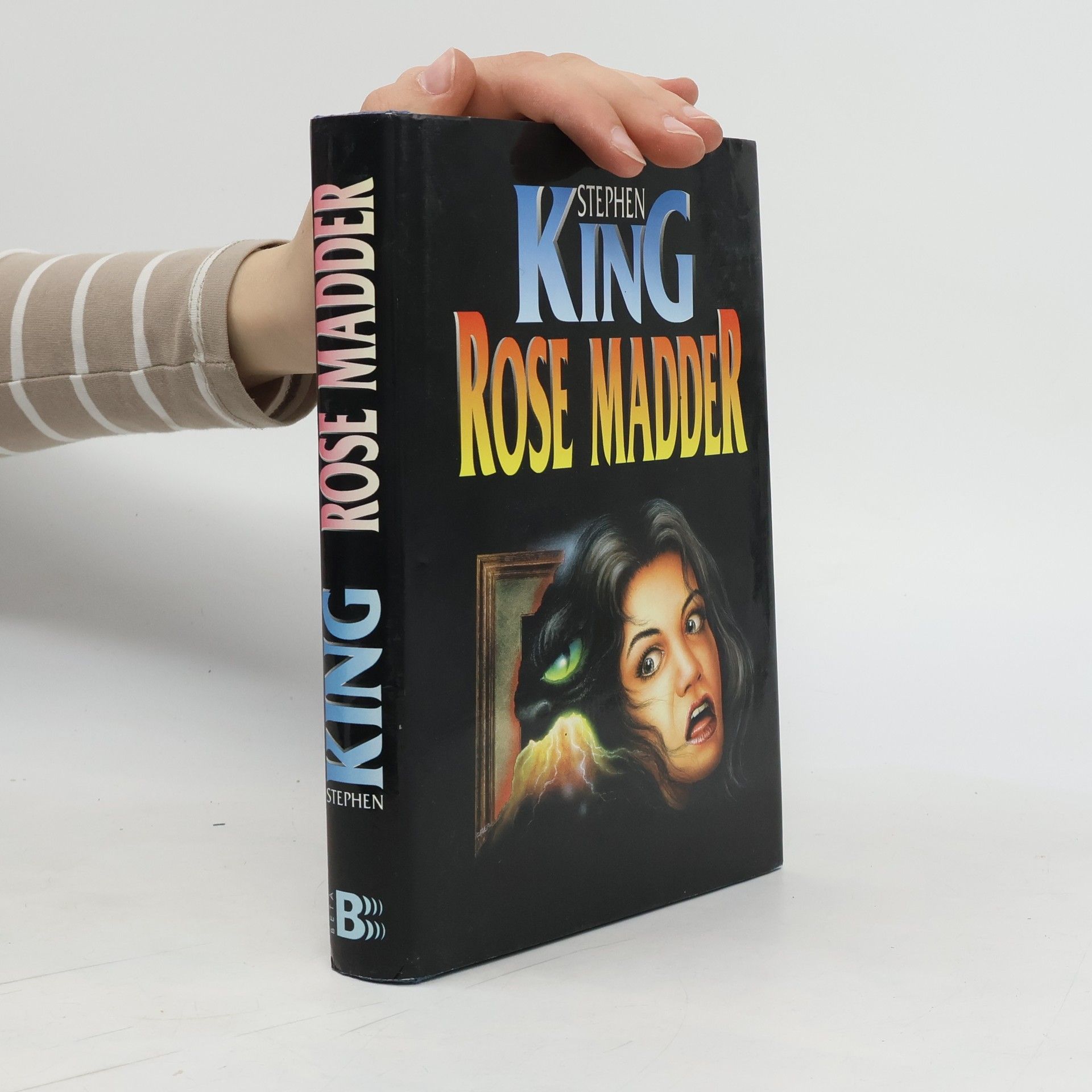 Stephen King Rose Madder