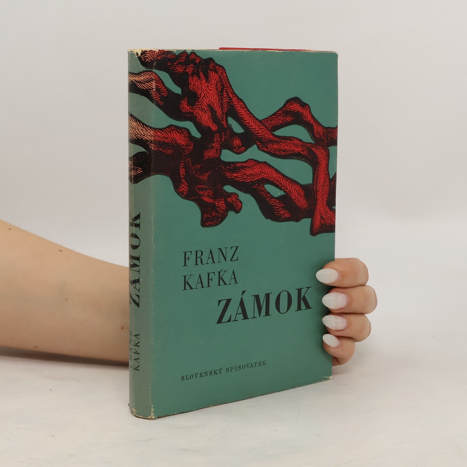Franz Kafka Zámok