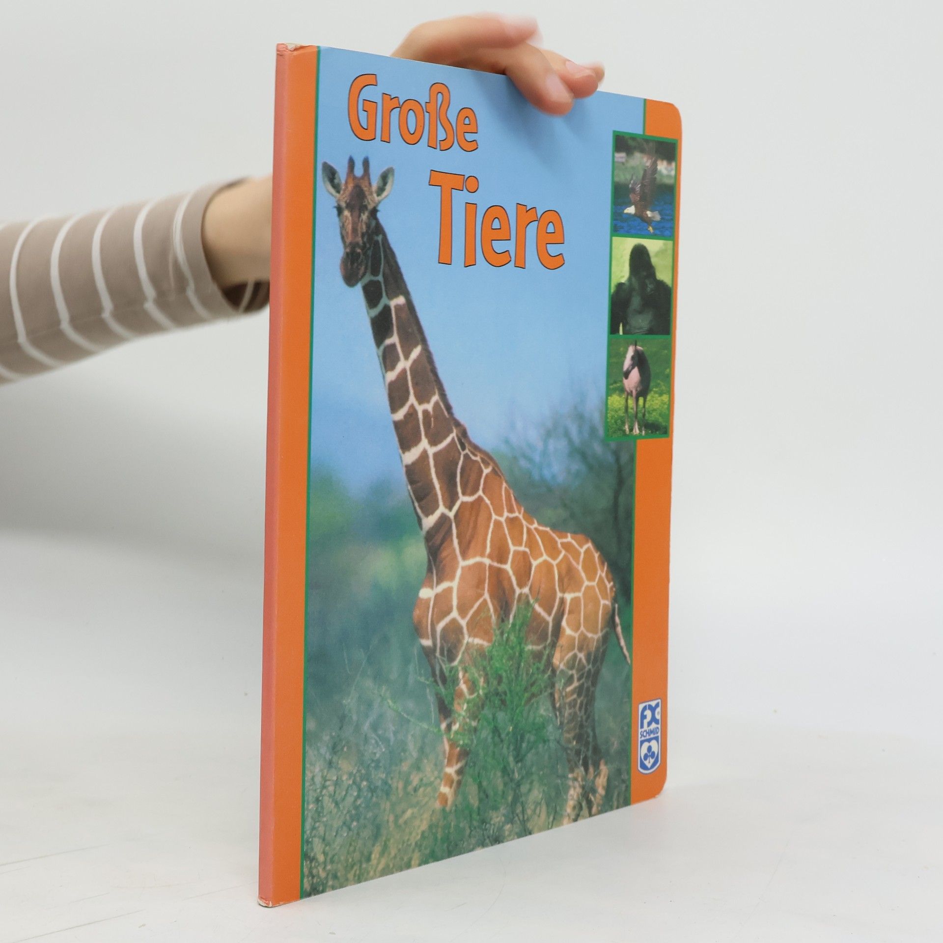 Autorenkollektiv Große Tiere