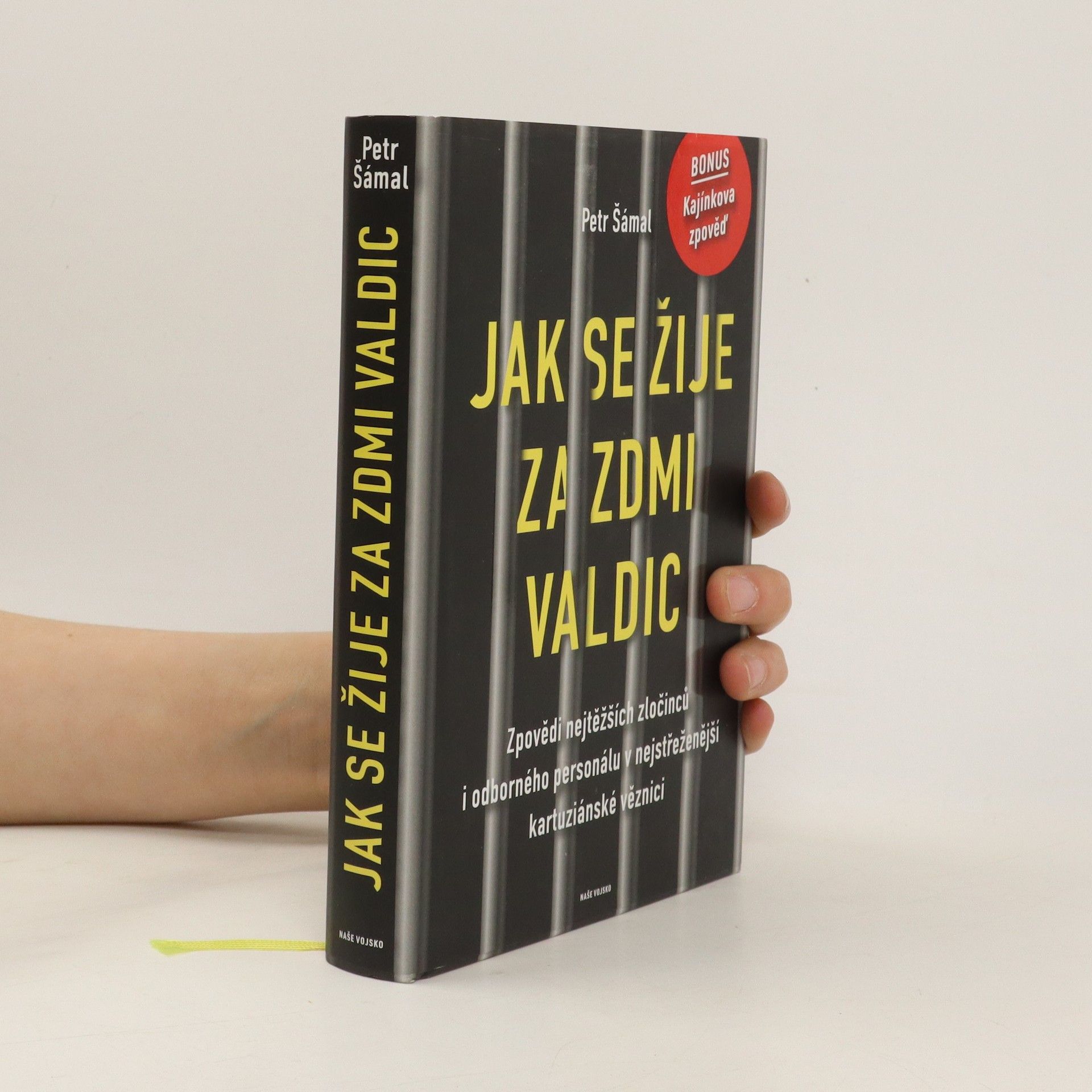 Petr Šámal Jak se žije za zdmi Valdic: Zpovědi nejtěžších zločinců i odborného personálu v nejstřeženější kartuziánské věznici