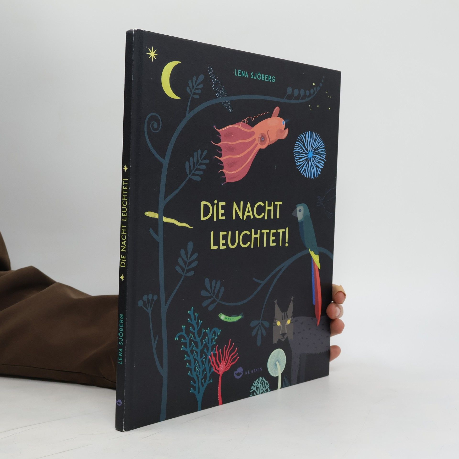 Lena Sjöberg Die Nacht leuchtet!