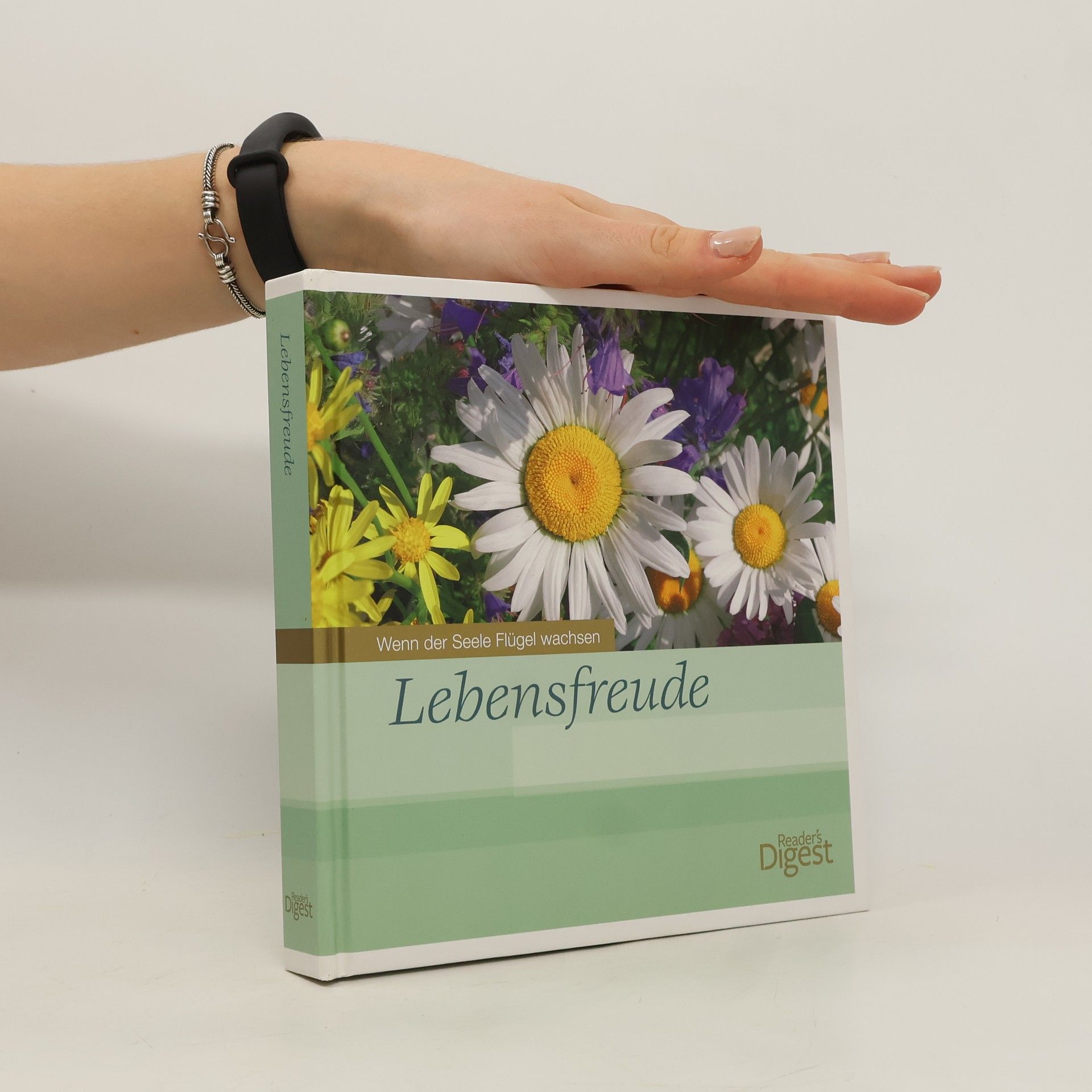 kolektiv Lebensfreude Wenn der Seele Flűgel wachsen