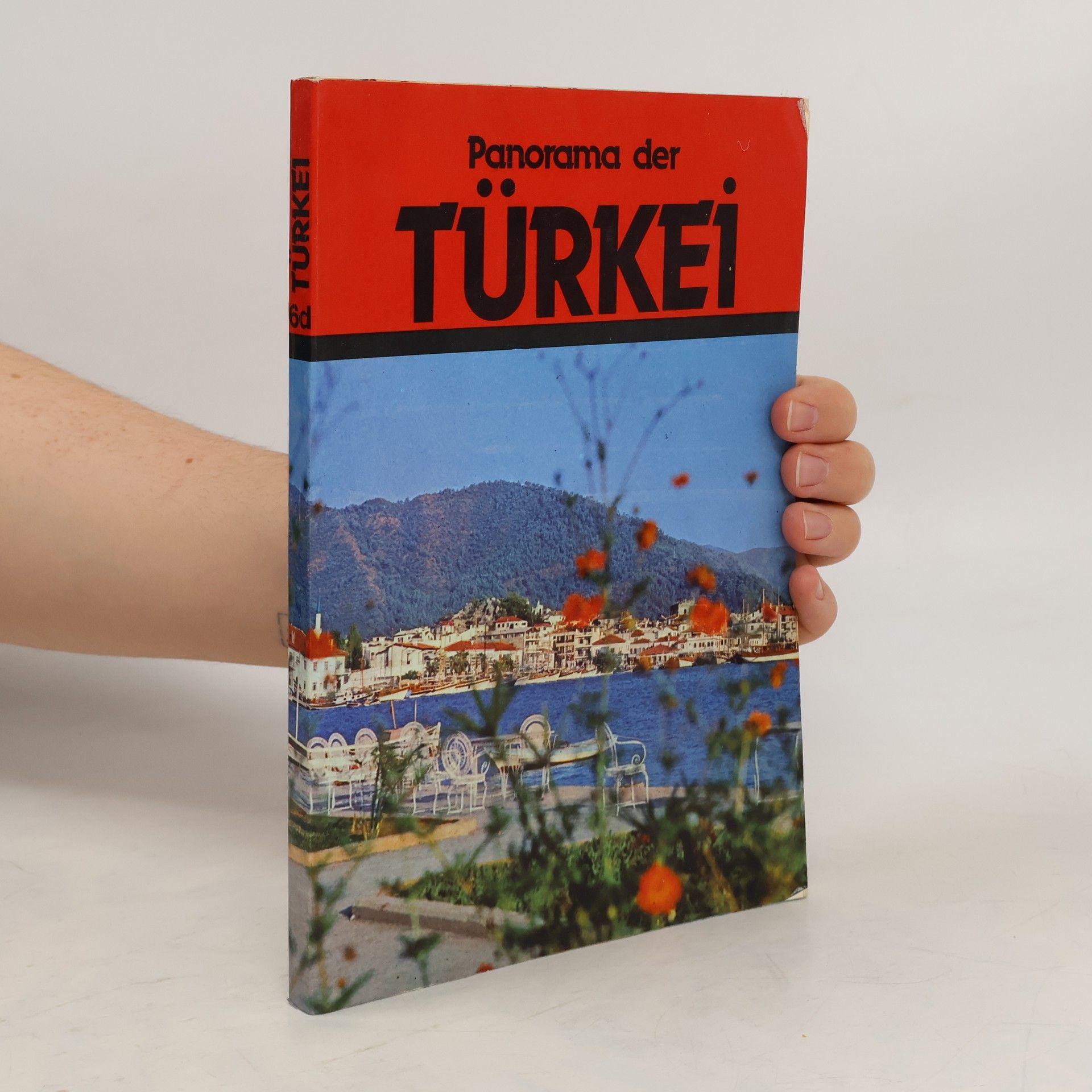 M. Orhan Bayrak Panorama der Türkei