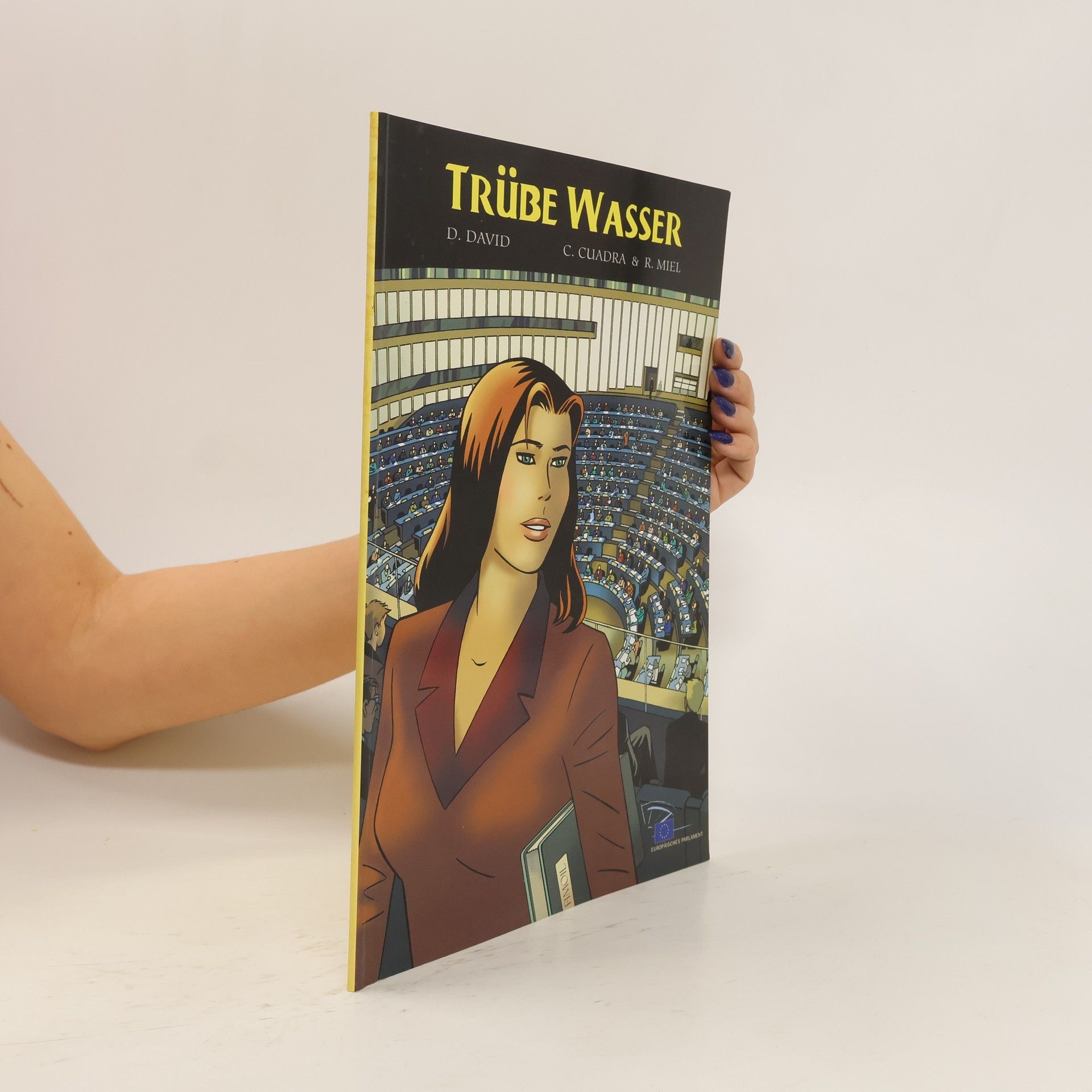 Dominique David Troubled waters
