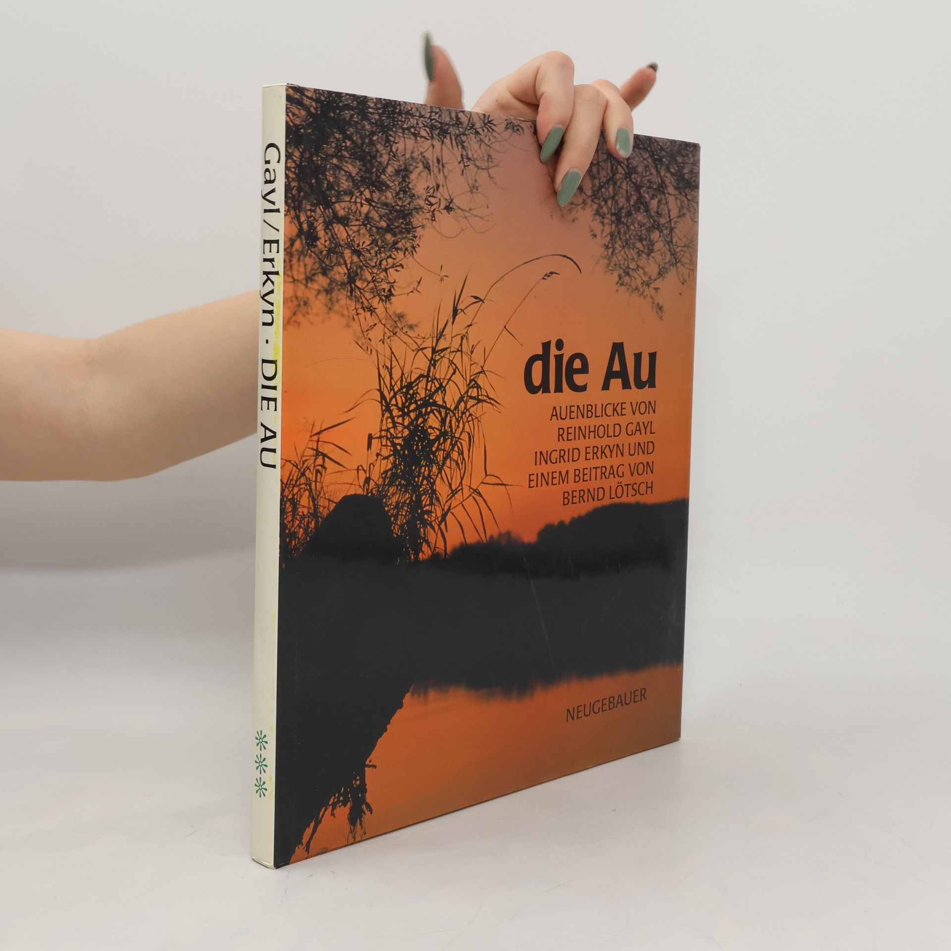 Reinhold Gayl die Au. Auenblicke