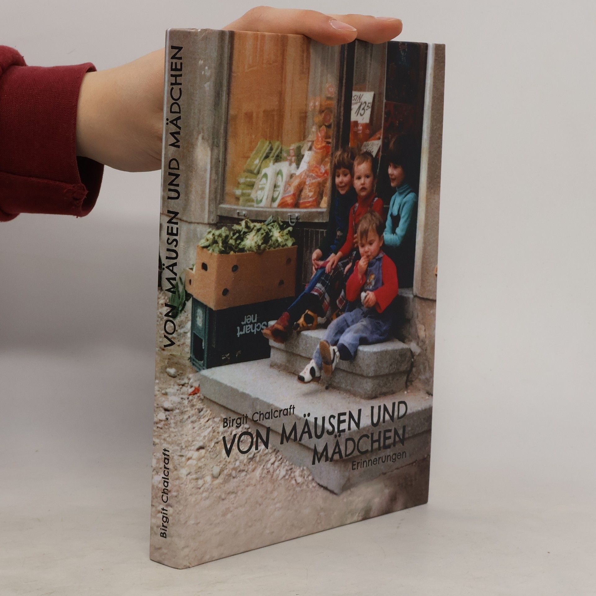 Birgit Chalcraft Von Mäusen und Mädchen