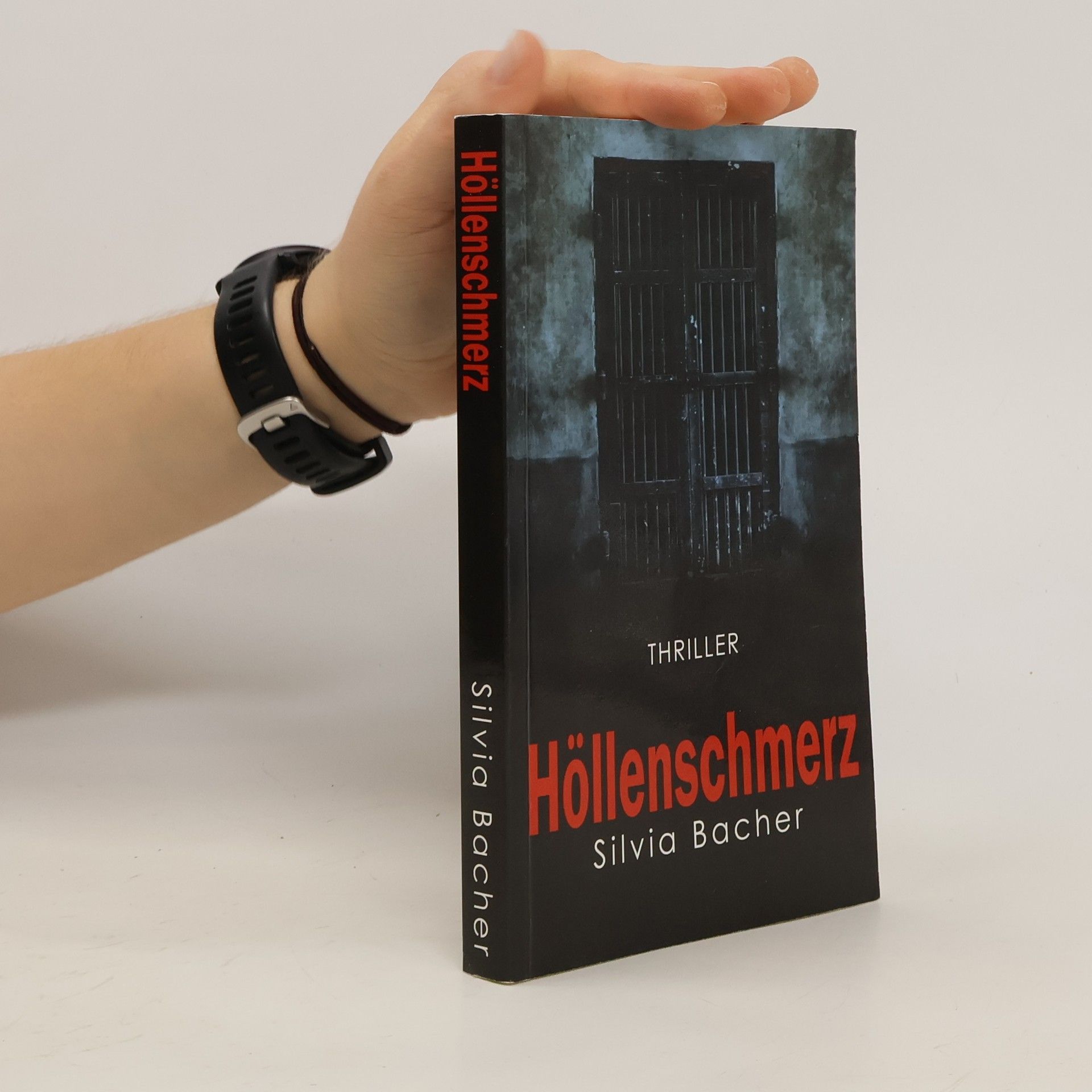 Silvia Bacher Höllenschmerz