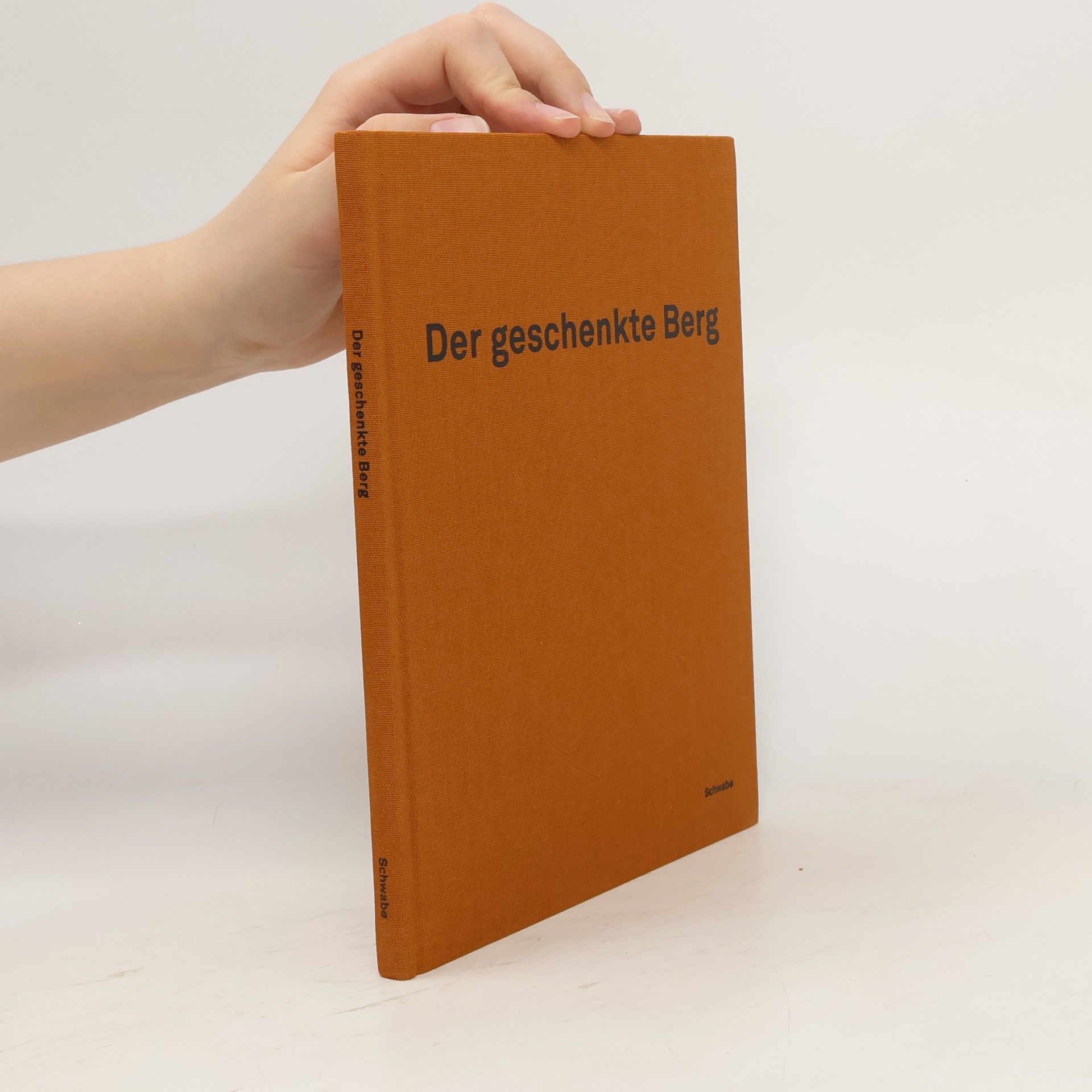 Michel Mettler Der geschenkte Berg