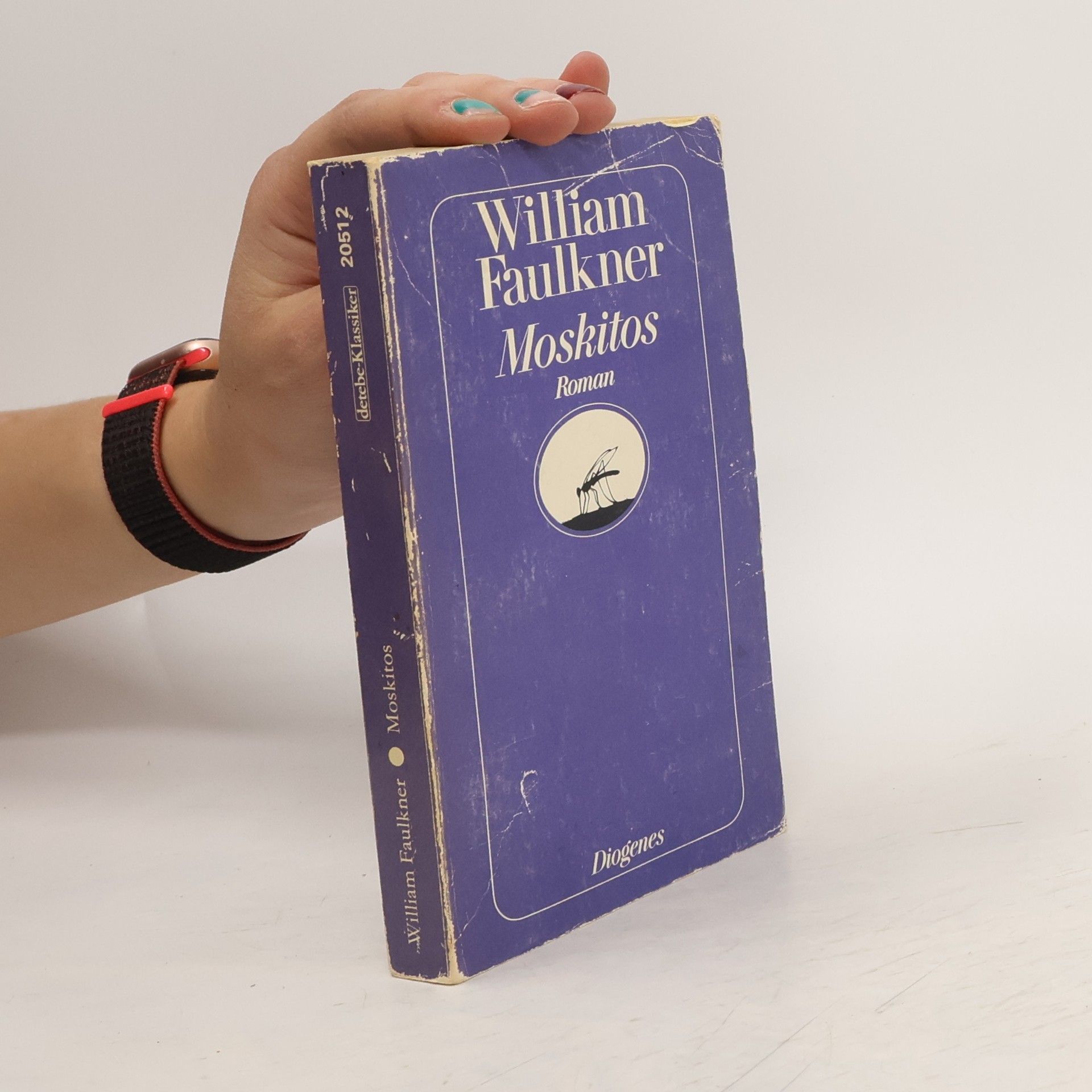 William Faulkner Moskitos. Roman