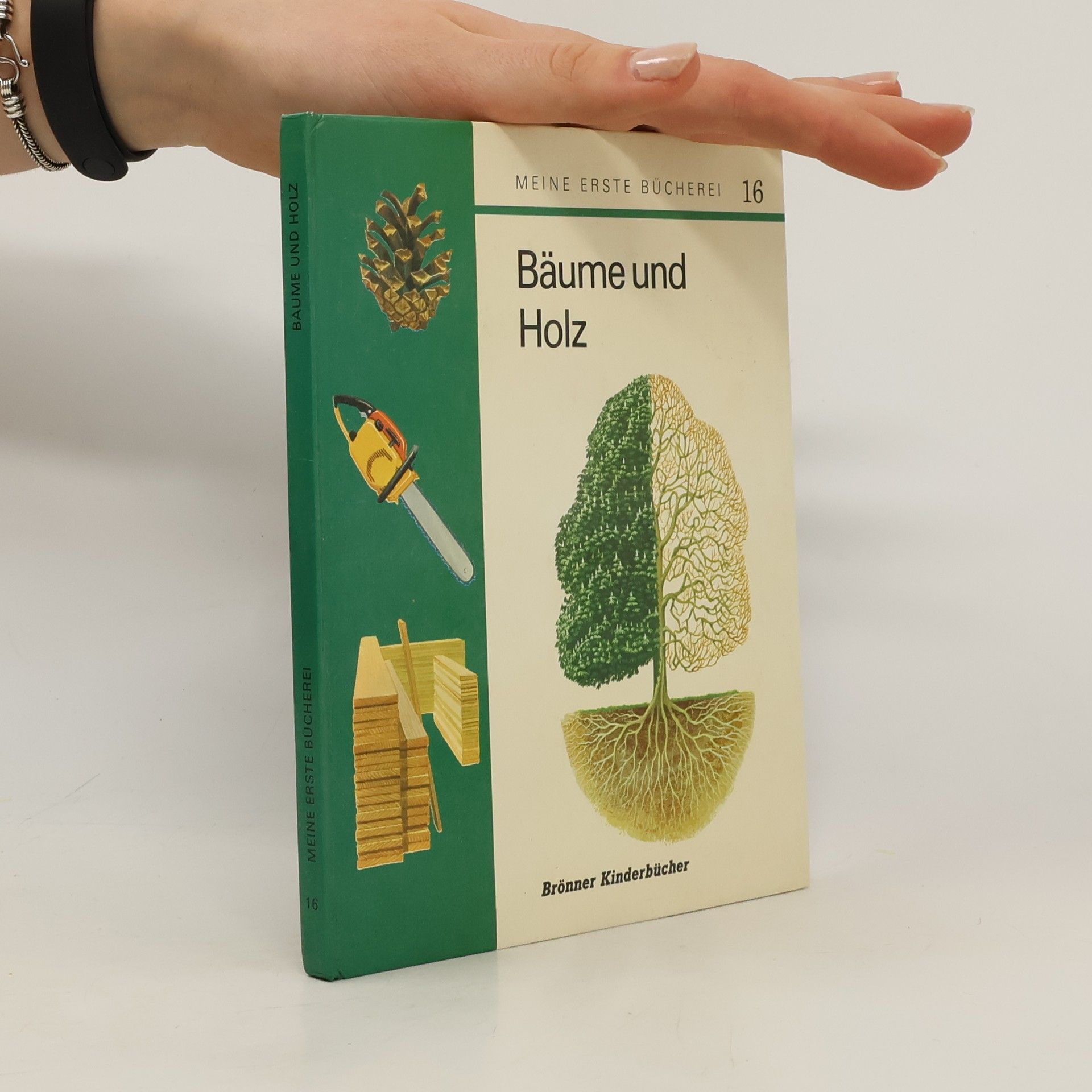 Autorenkollektiv Bäume und Holz