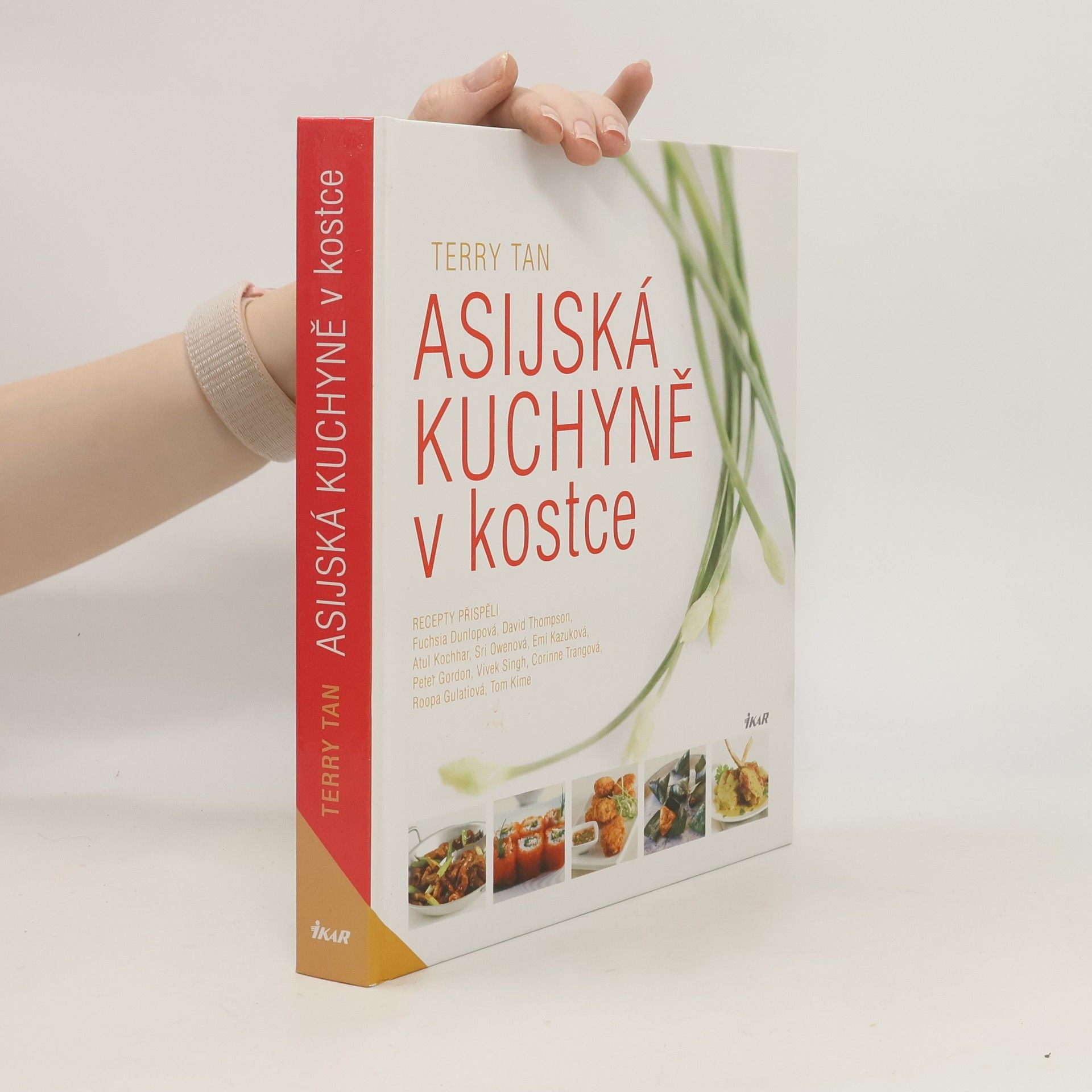 Terry Tan Asijská kuchyně v kostce